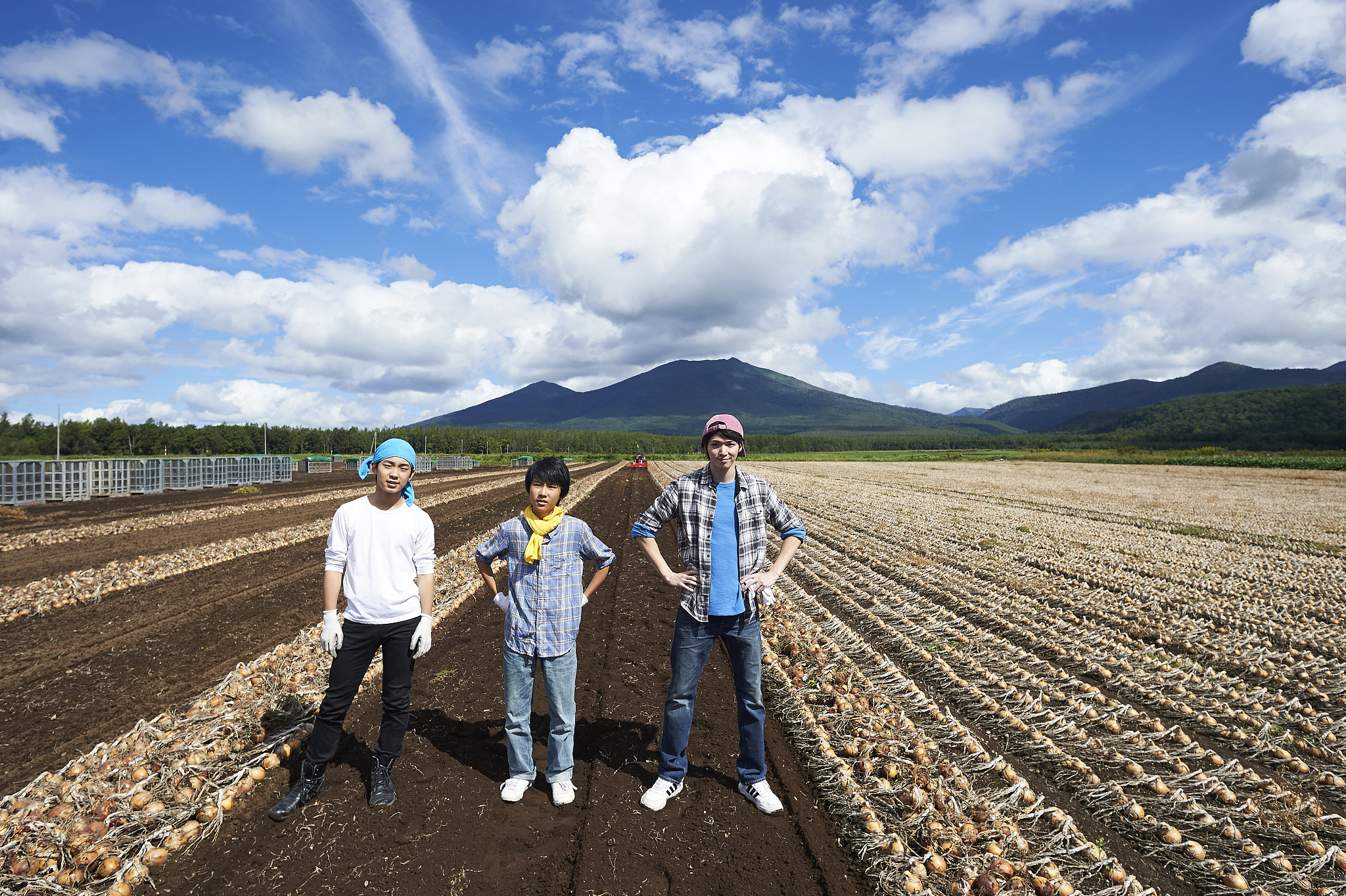 林产化工专业详解及就业方向用