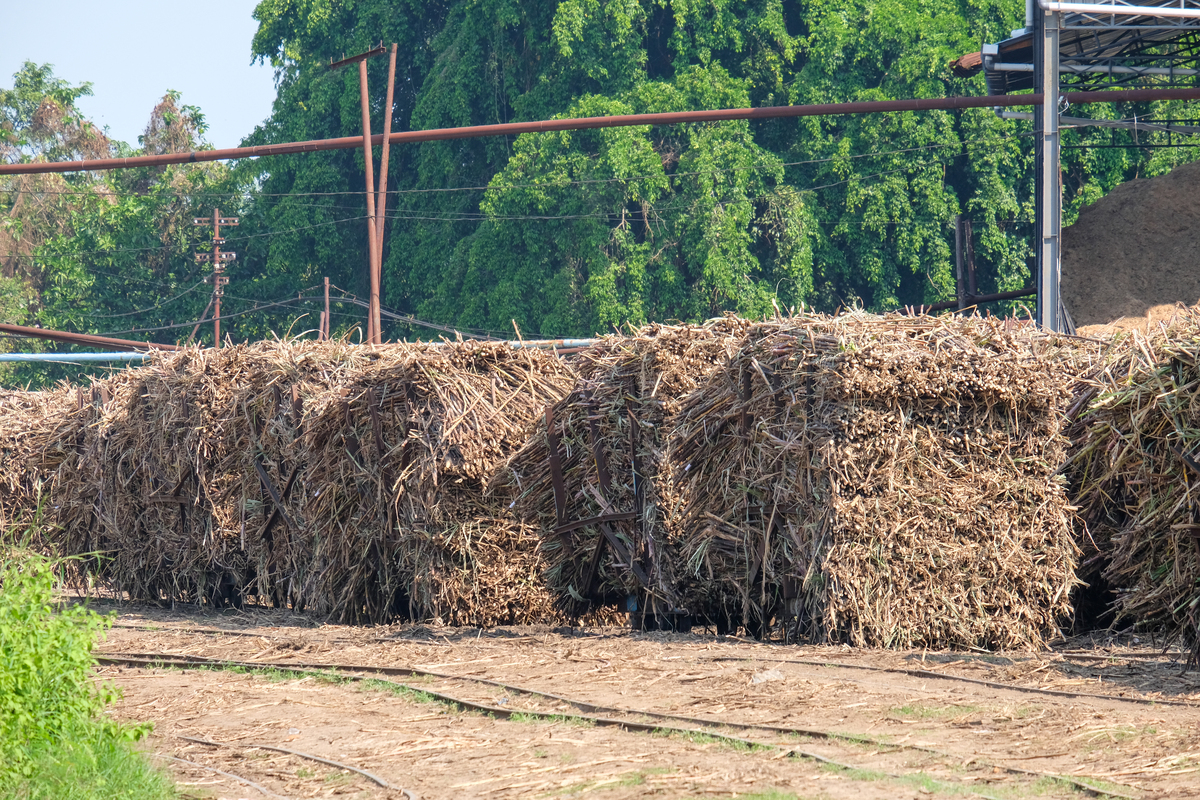 农村土地继承权：继承流程、顺序及注意事项