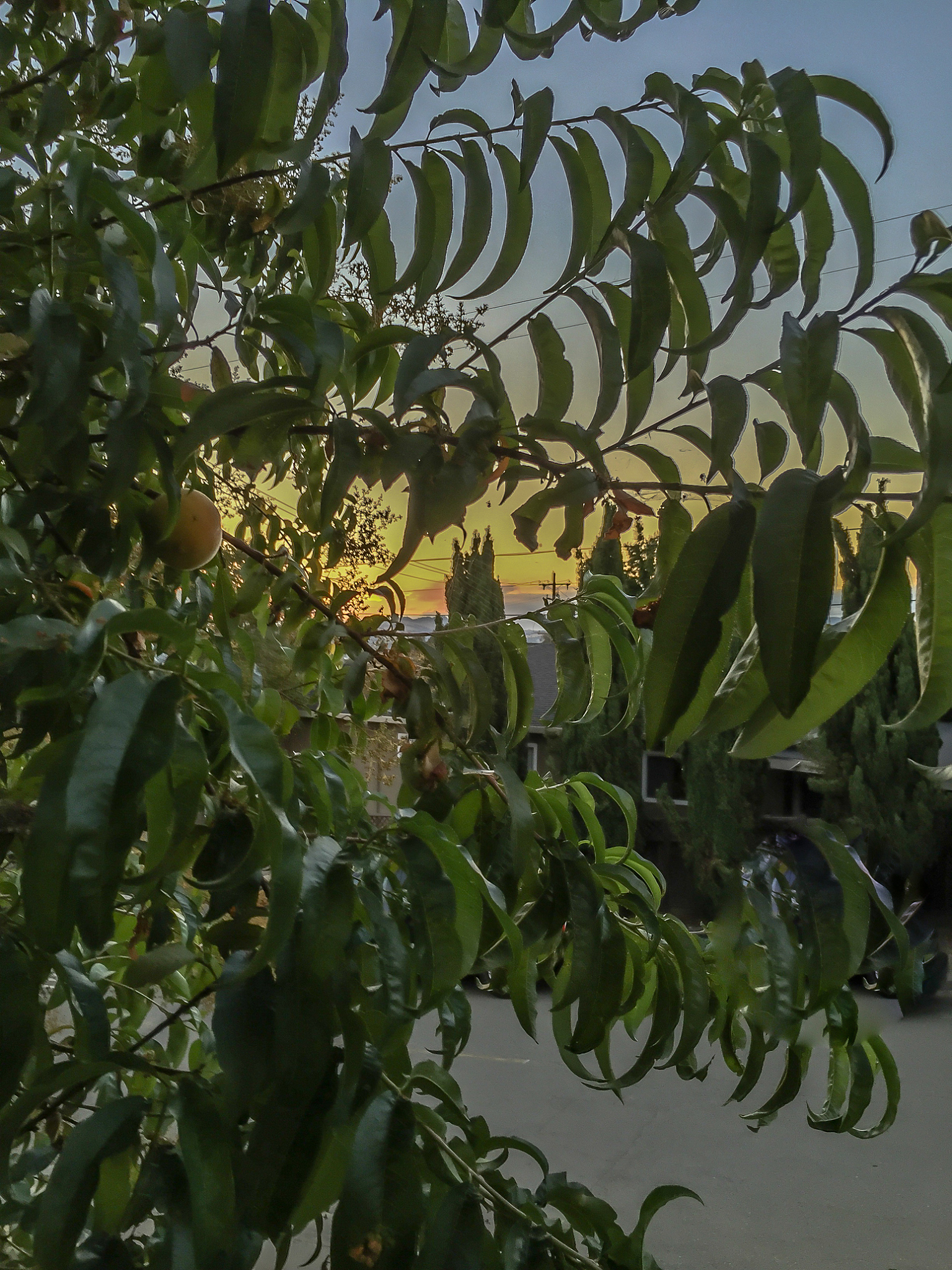 湖南大众传媒职业技术学院摄影摄像技术专业课程设置：全面培养你的摄影摄像技能