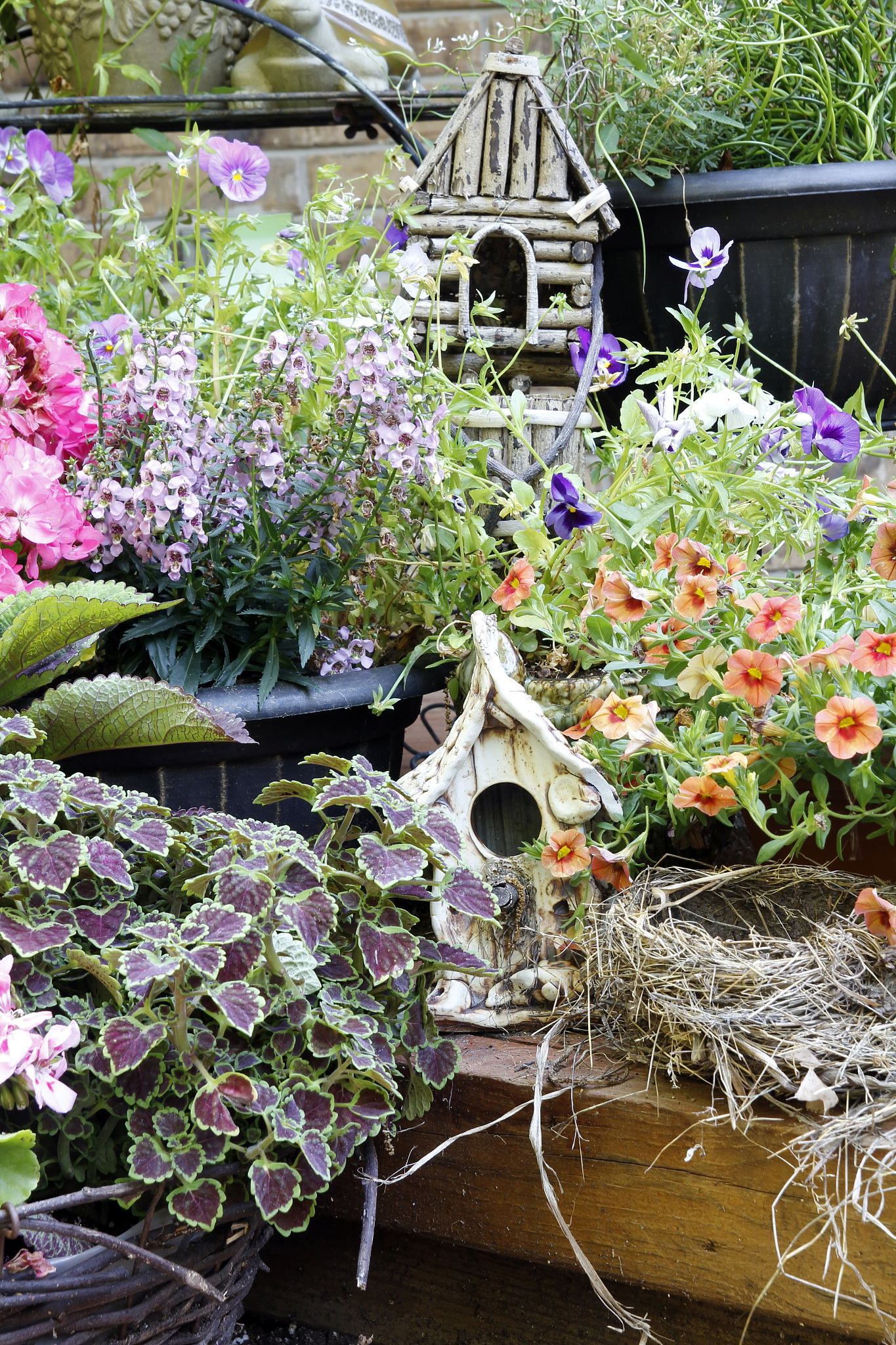 Gardener's Haven: Gardening Resources, Plants, & Expert Advice