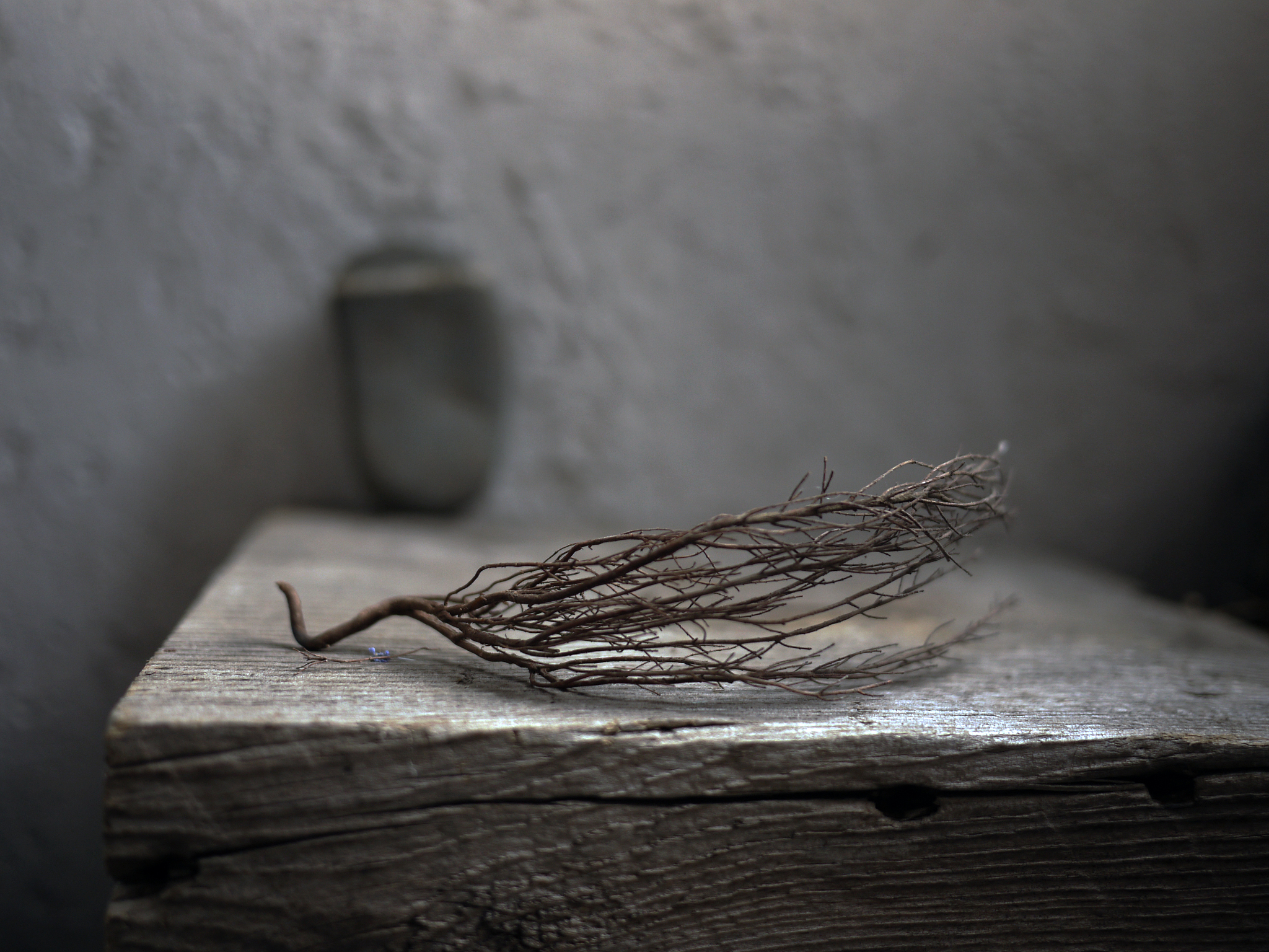 从康德哲学角度解释：数和量有什么区别？