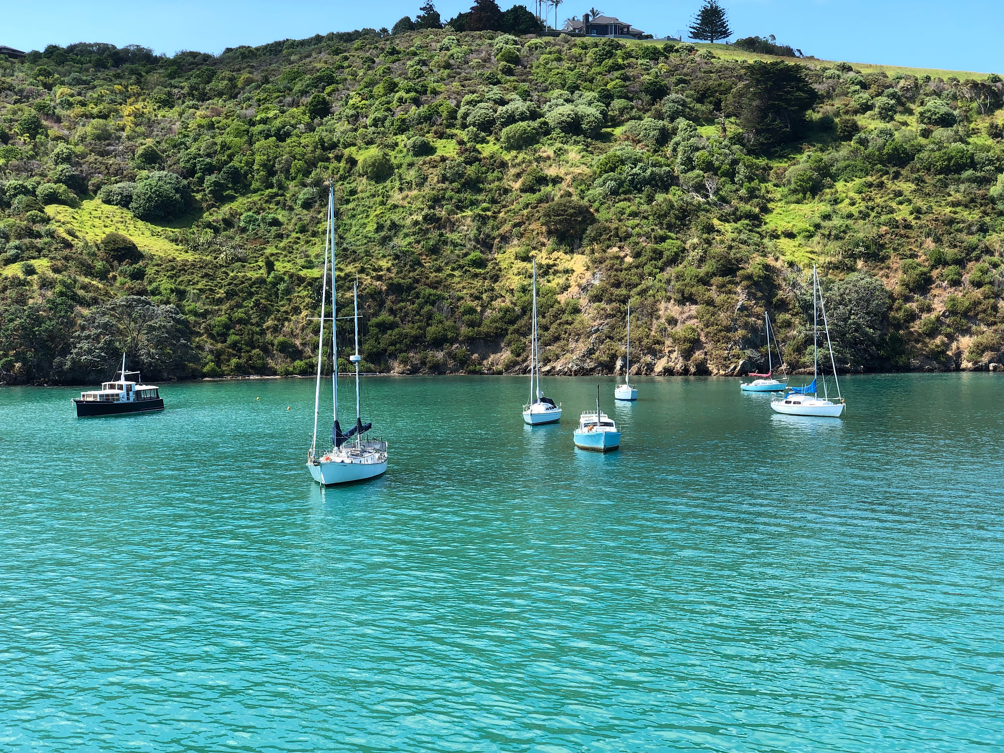 用parent、tour、sun moon lake 写一篇12句的中国1年级小学生看懂的英语短文