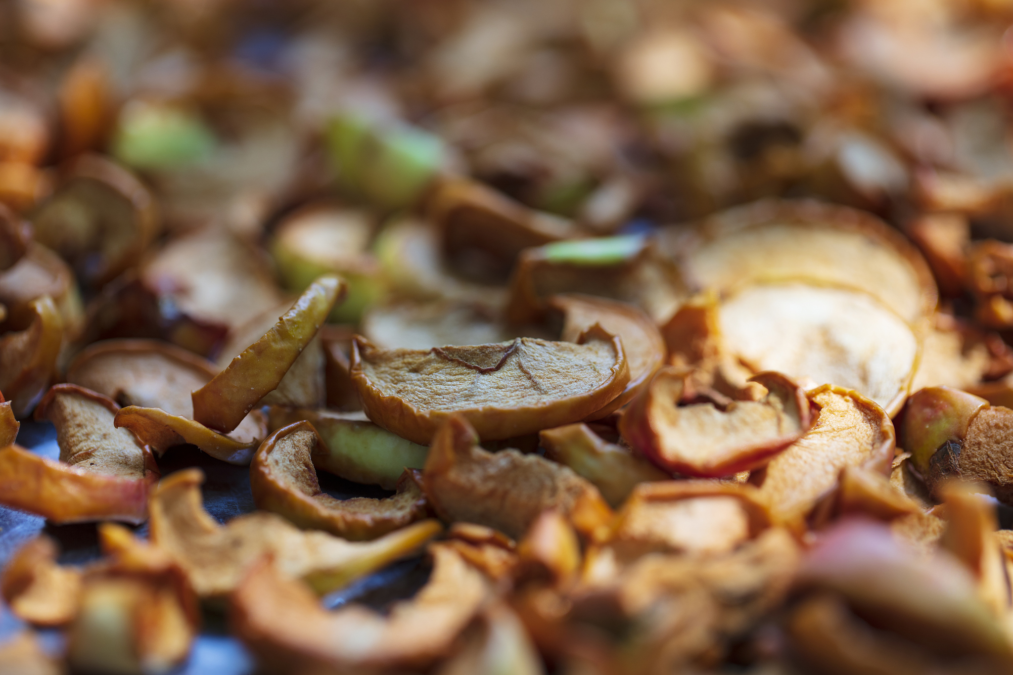 长治职业技术学院食品生物技术专业如何好学吗