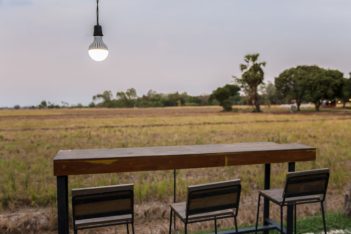 商丘职业学院植物保护专业：培养农业科技人才，助力绿色发展