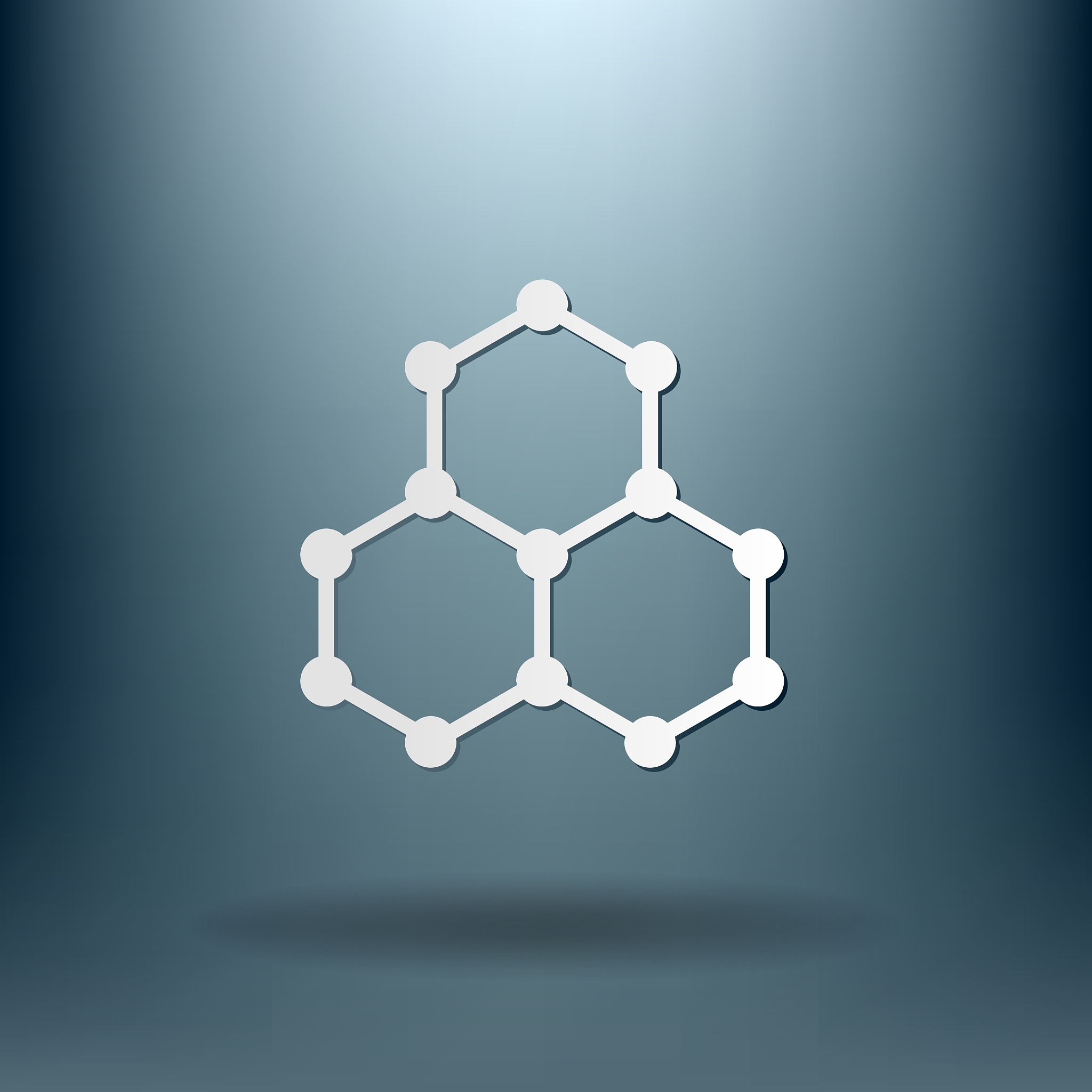 化学与生活第一章 化学与食品 生命体的能量来源 写一下