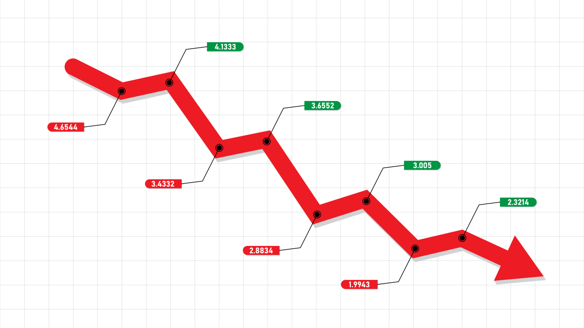 请总结一下盈利能力分析