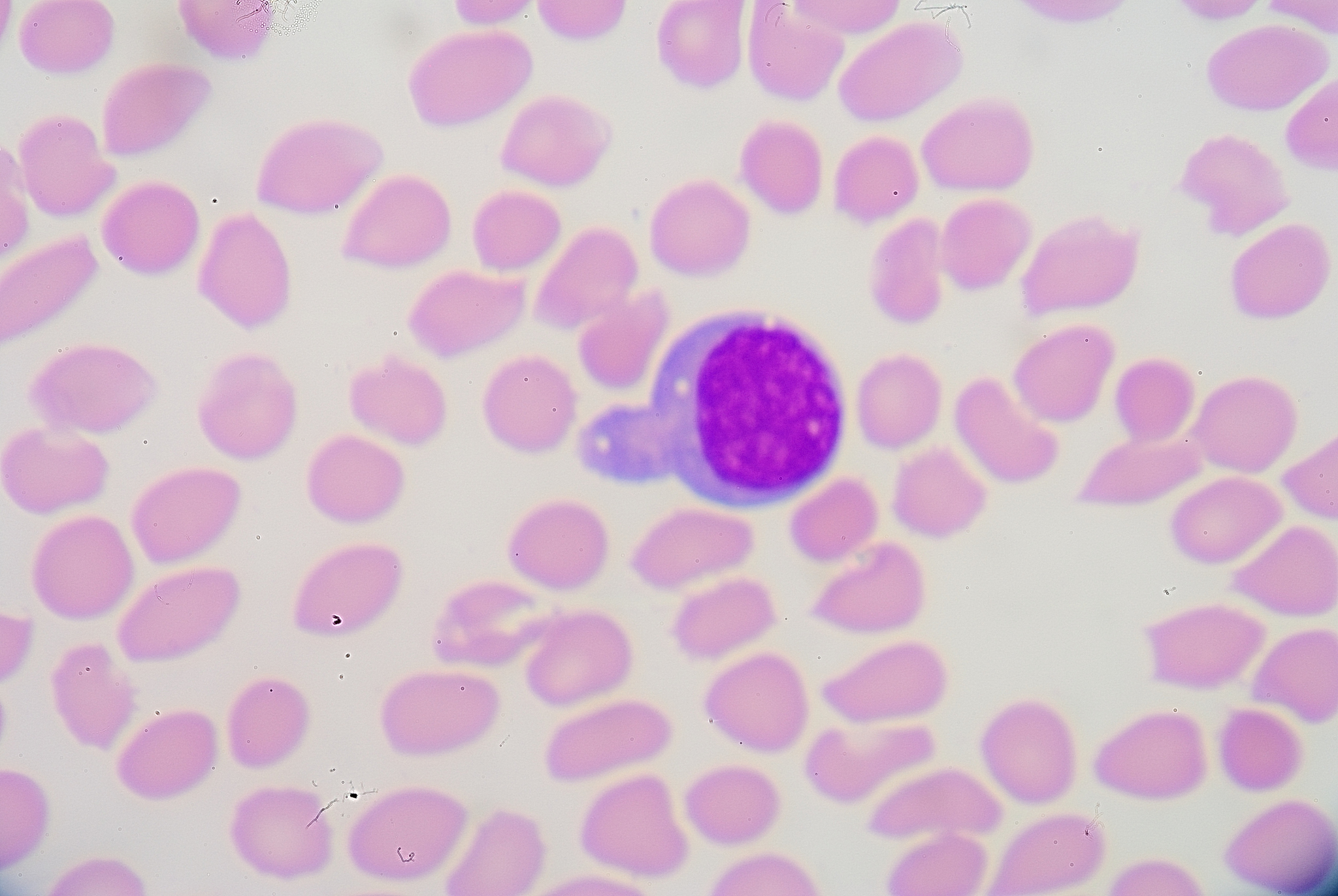 人教版小学英语教材教学方法探究