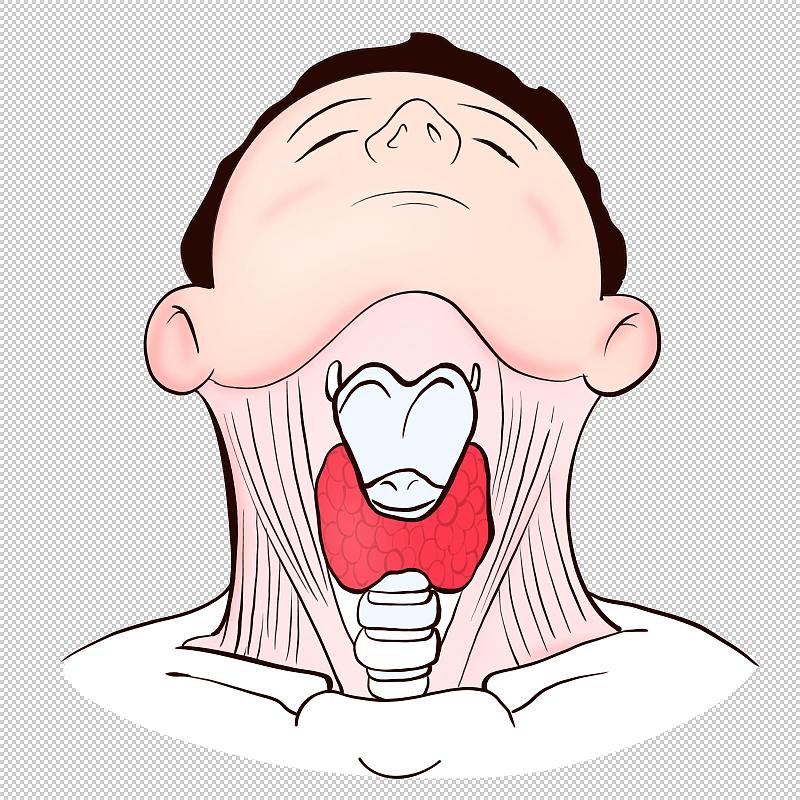 邯郸2022年中专女孩子学什么专业