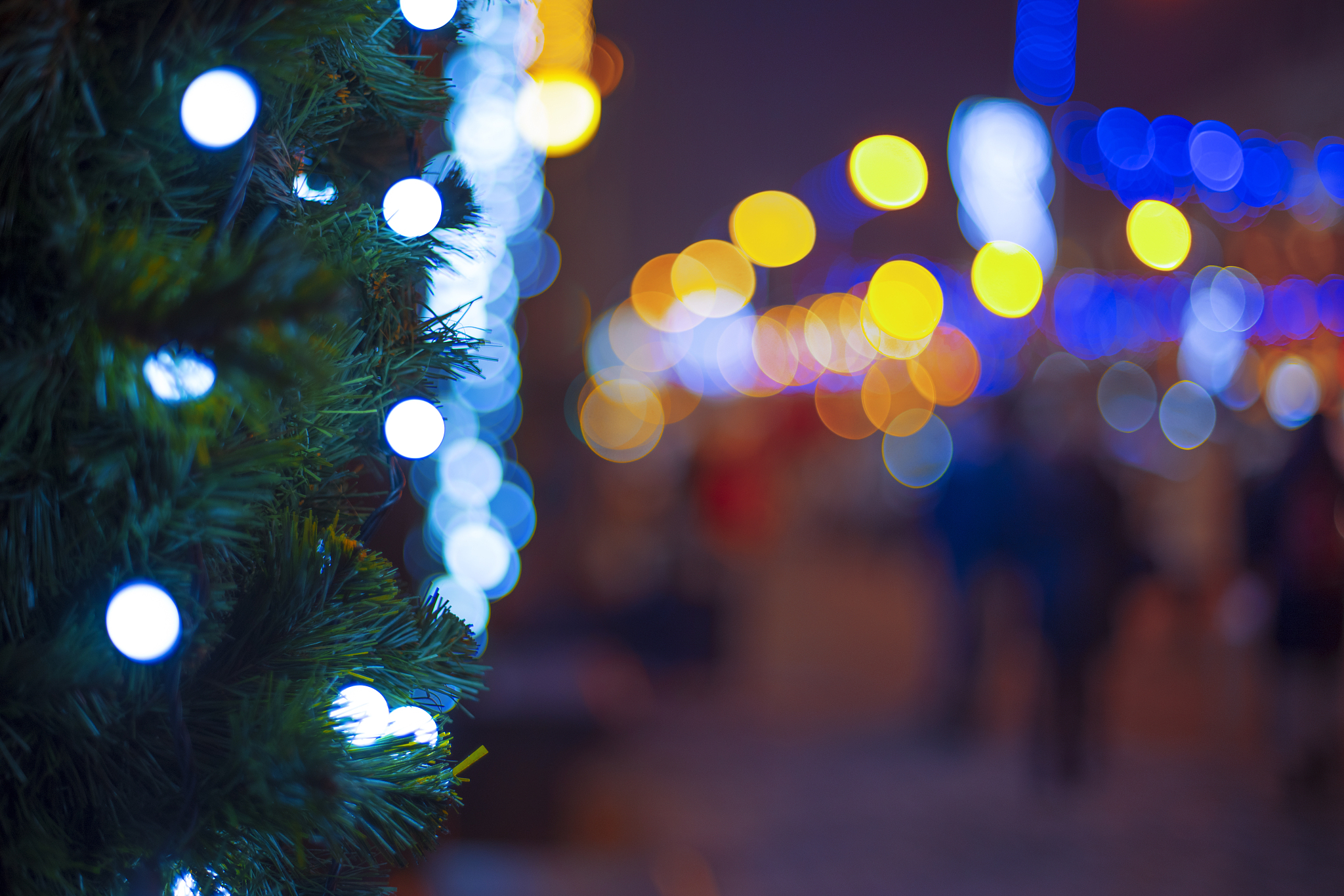 christmas lights