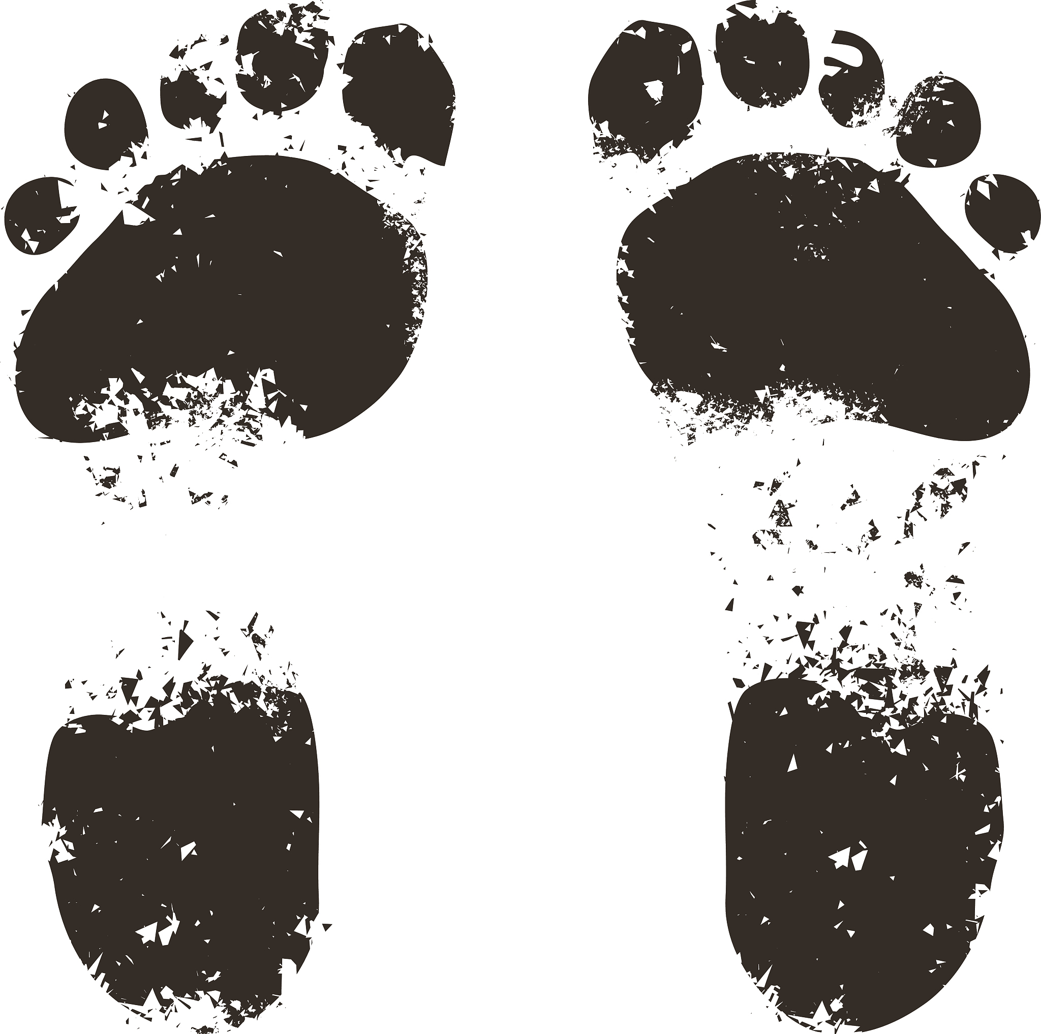 小马脚印的特点：形状、大小、力量、美感 - 300字解读