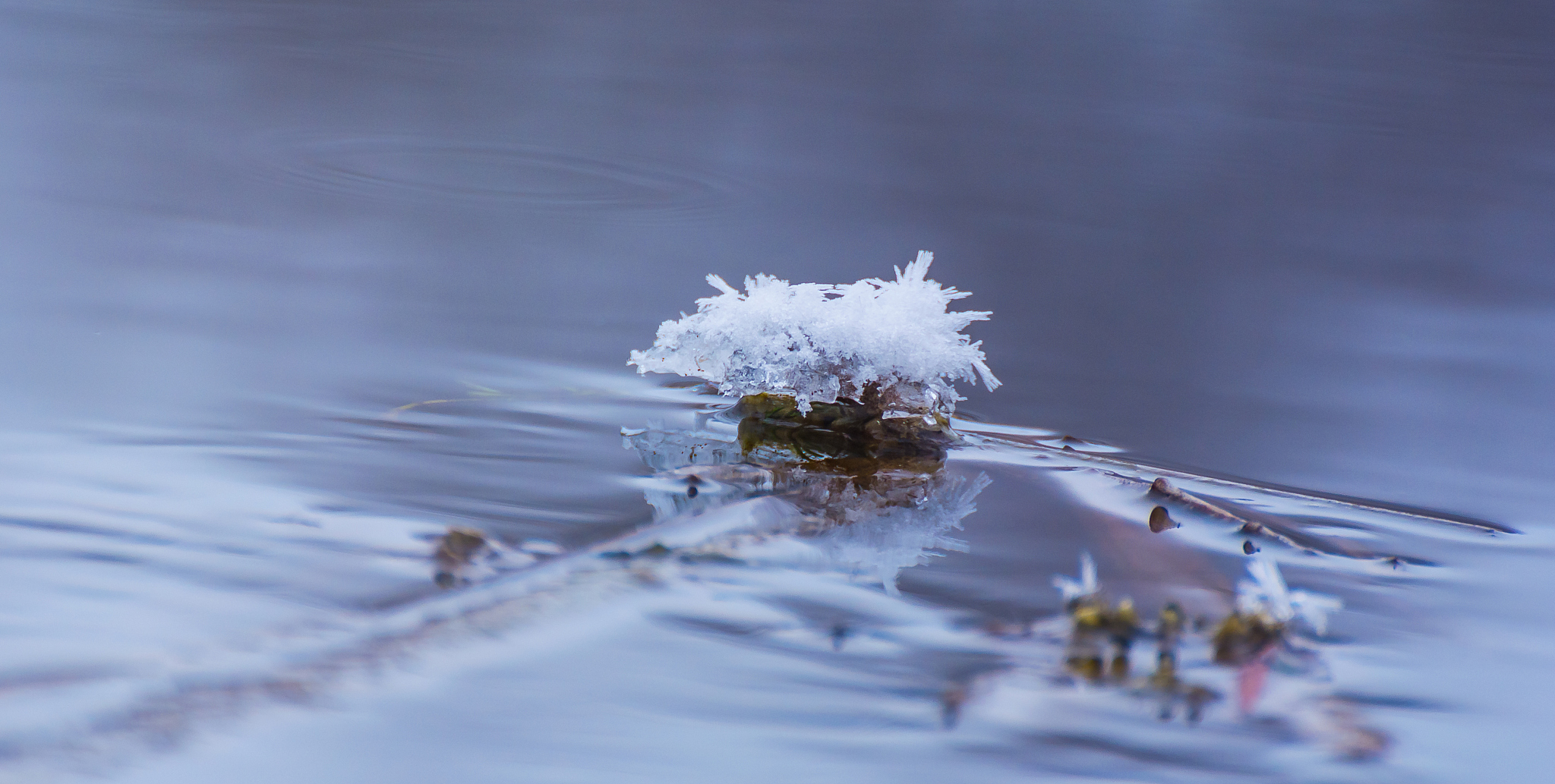 《饮冰》桃籽儿