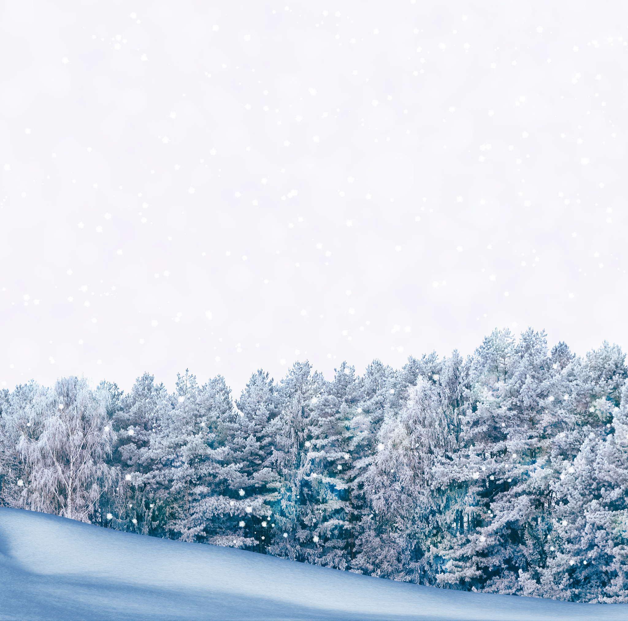 阴天将雪：梦幻般的银色世界