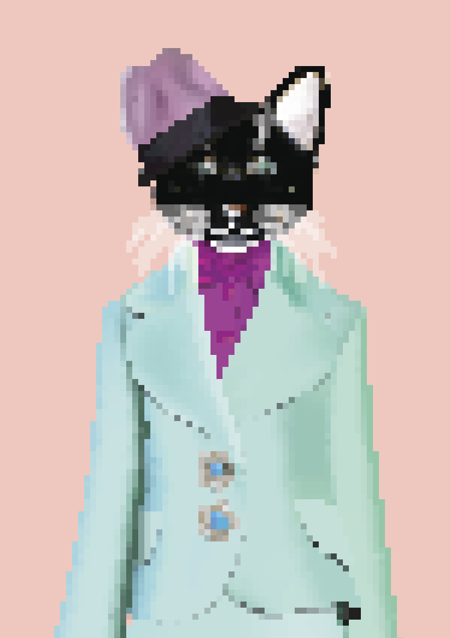 喜欢'0'的什么部位？解读吸引力的秘密