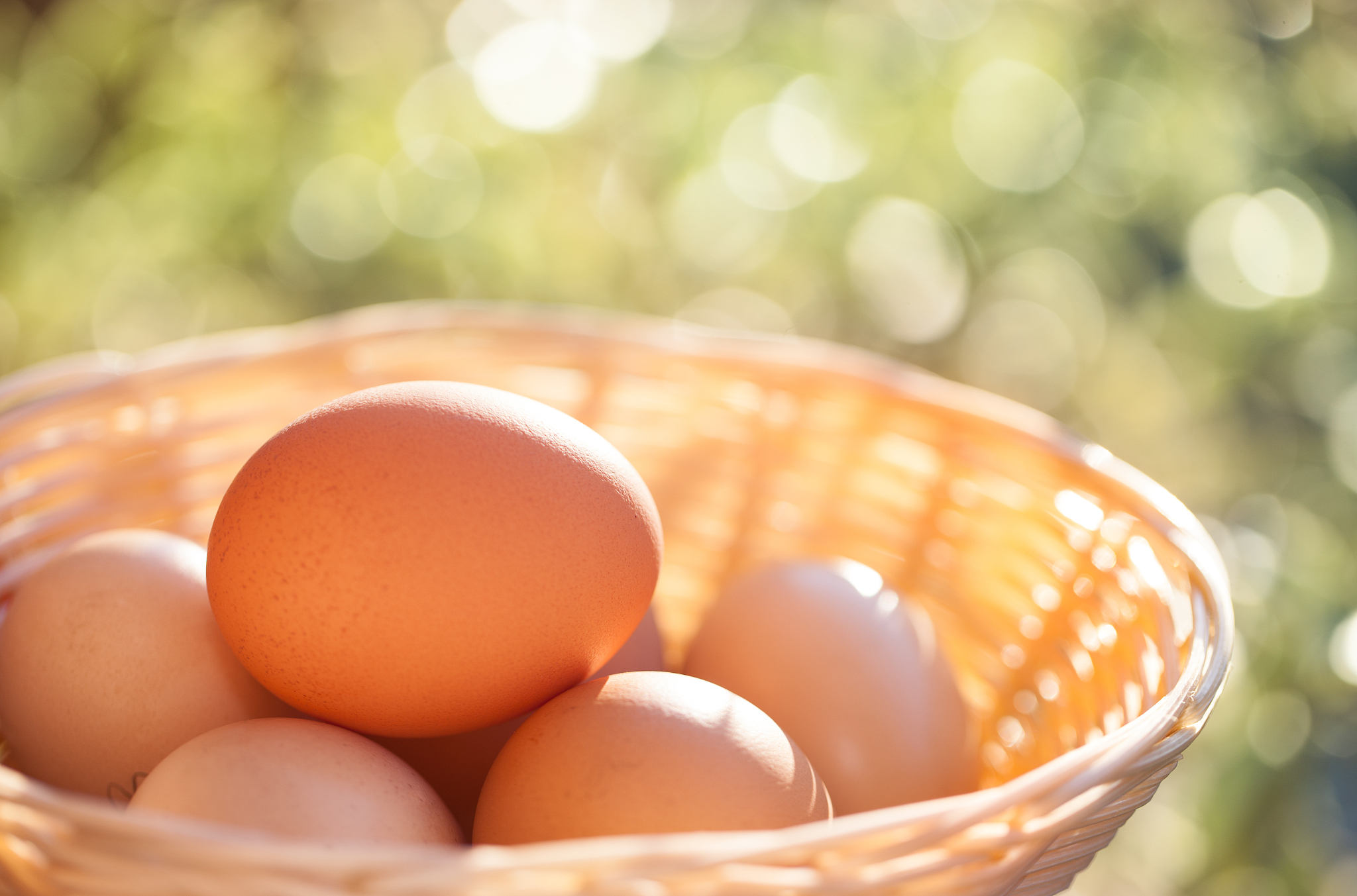 basket of eggs