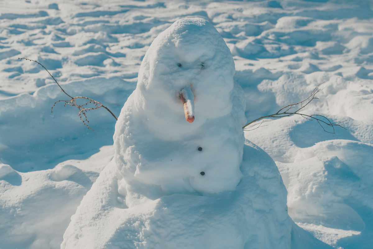 雪地里,一个滑稽的雪人,有着胡萝卜鼻子和树枝手臂,