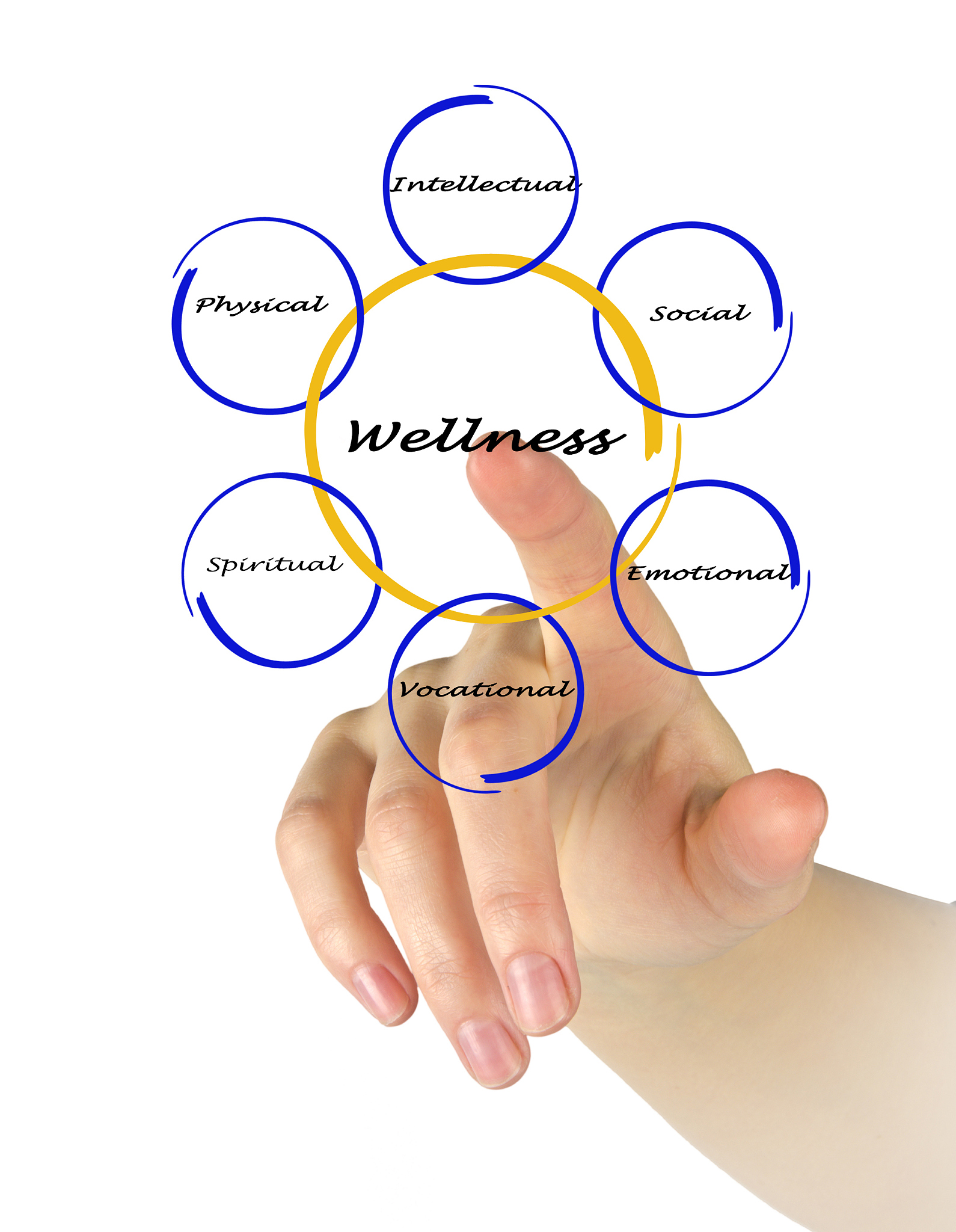 探索生活的意义：挑战、成长与幸福的旅程