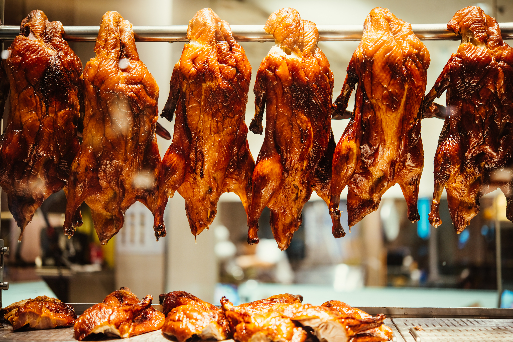 越观察你可能会注意到这是和我们早上的常客不同的一对。 我讨厌想当他们都带小鸭子时会发生什么!