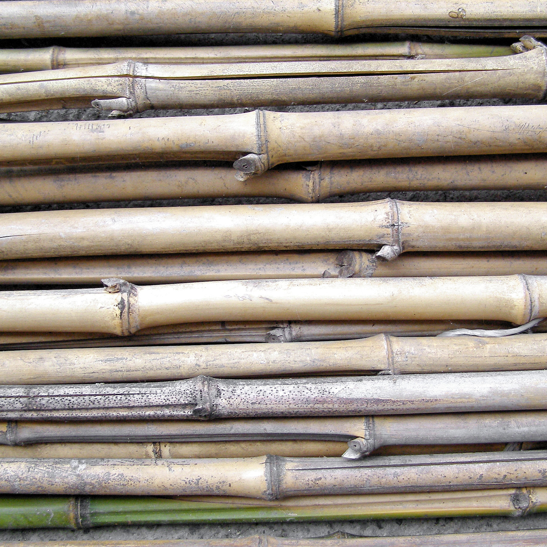 博兴哪里卖竹竿 回答加拓展