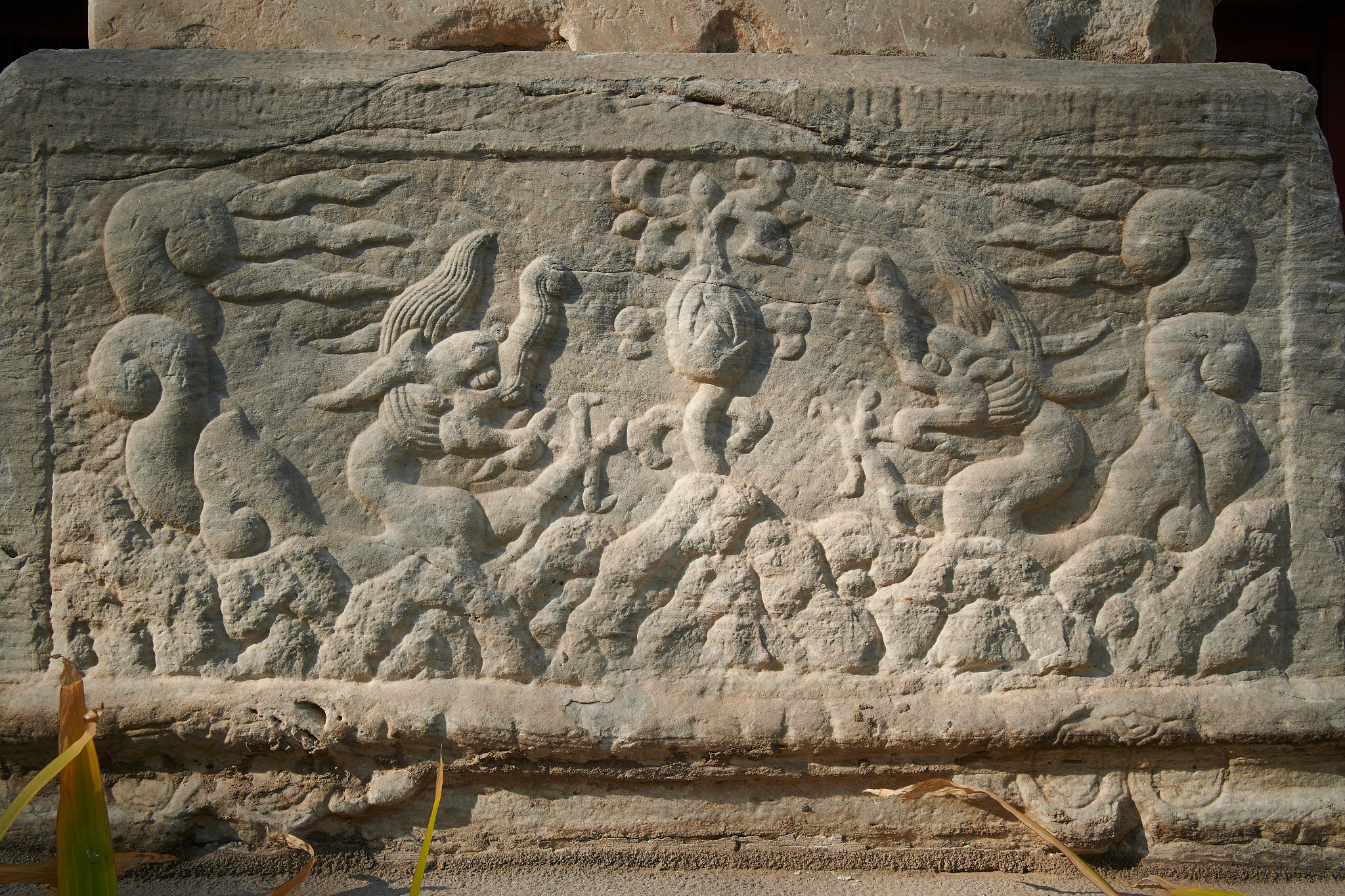 13、永陵二十四伎乐是永陵的24幅歌舞女艺人表演的石刻浮雕5 分正确错误