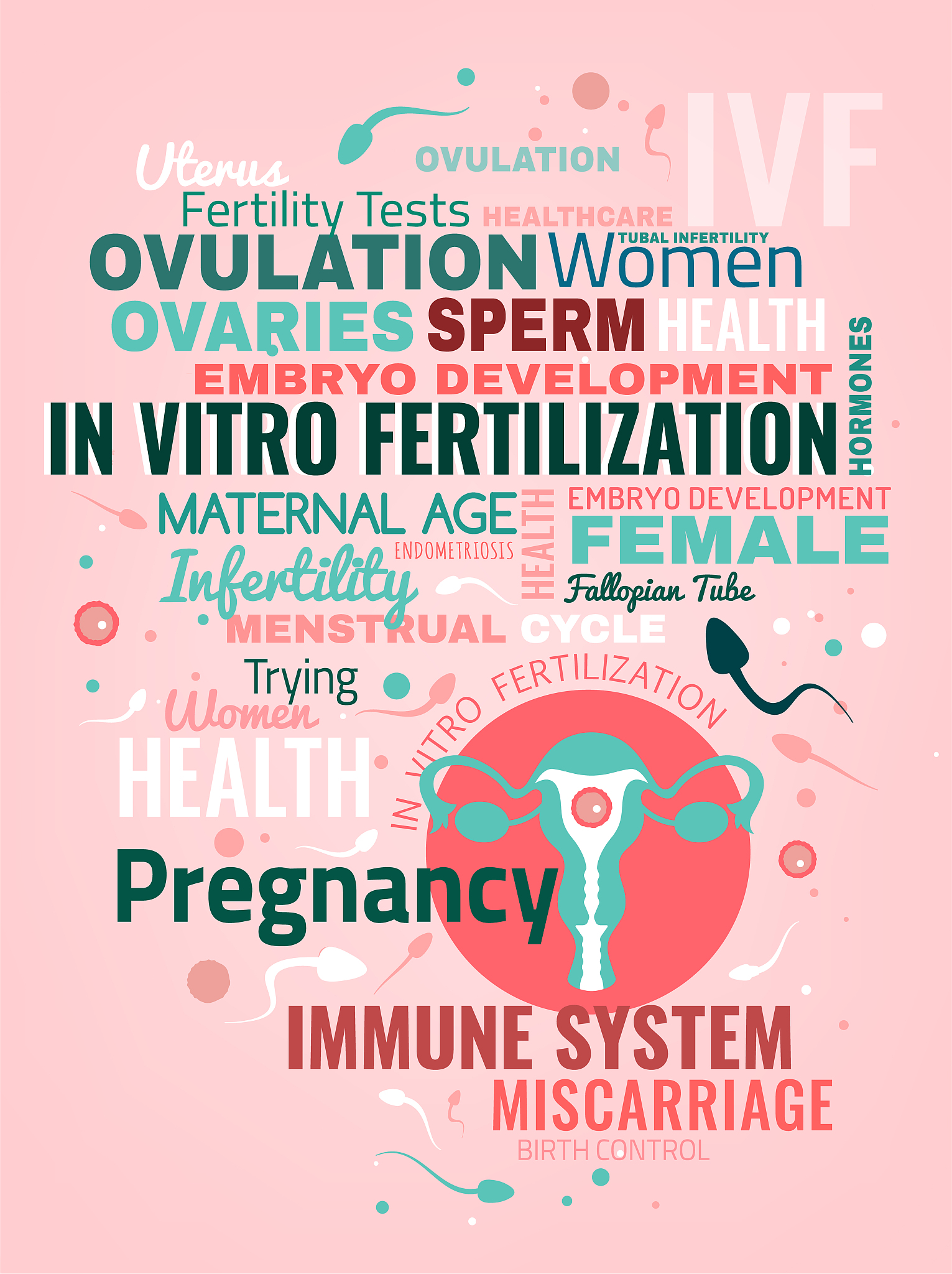 台湾试管婴儿费用指南：网友分享省钱方案及经验