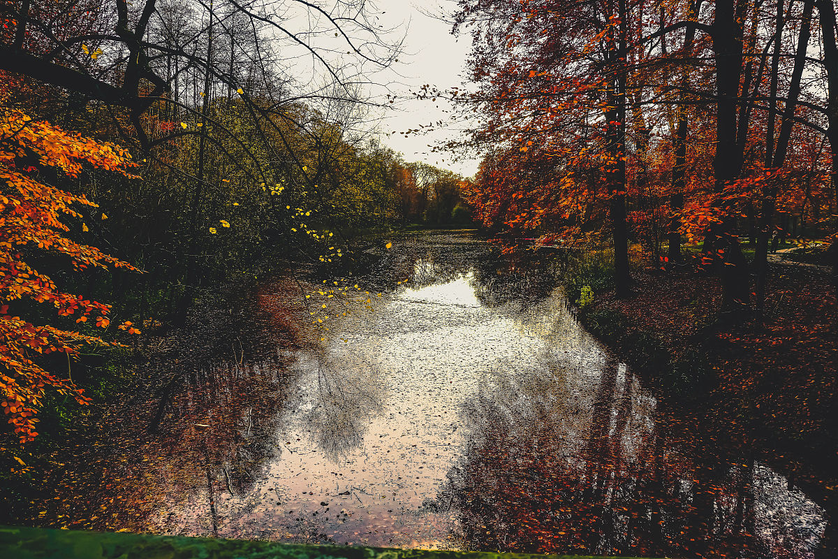 好听的名字大全：梦幻、诗意、寓意深刻