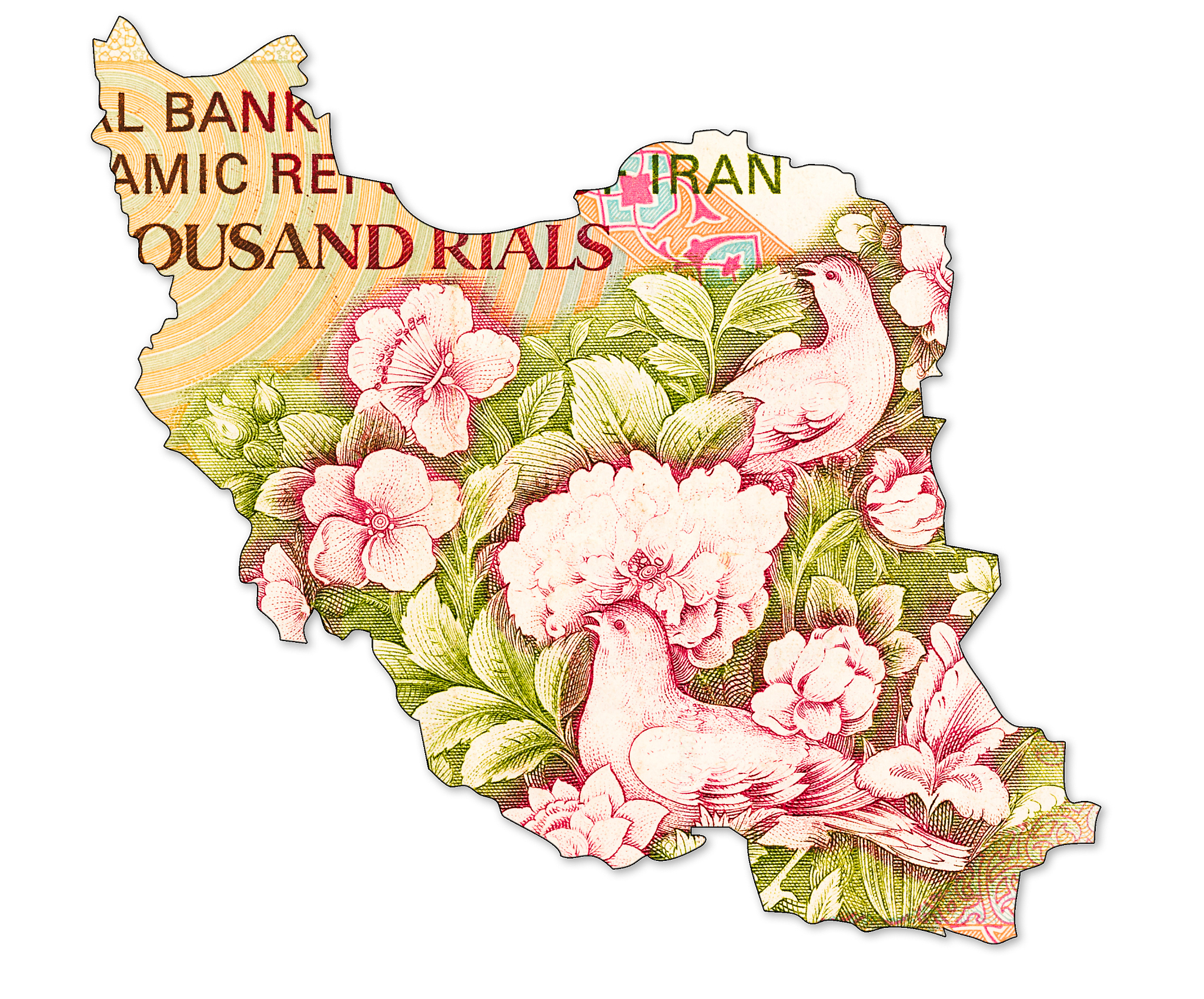 5000 iranian rial note reverse in shape of iran