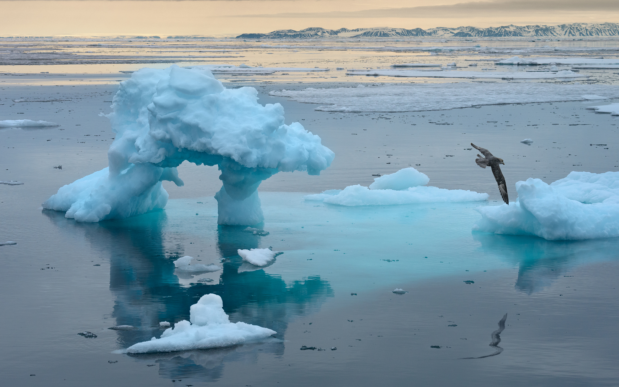 温室效应论文：成因、现状、影响与解决措施