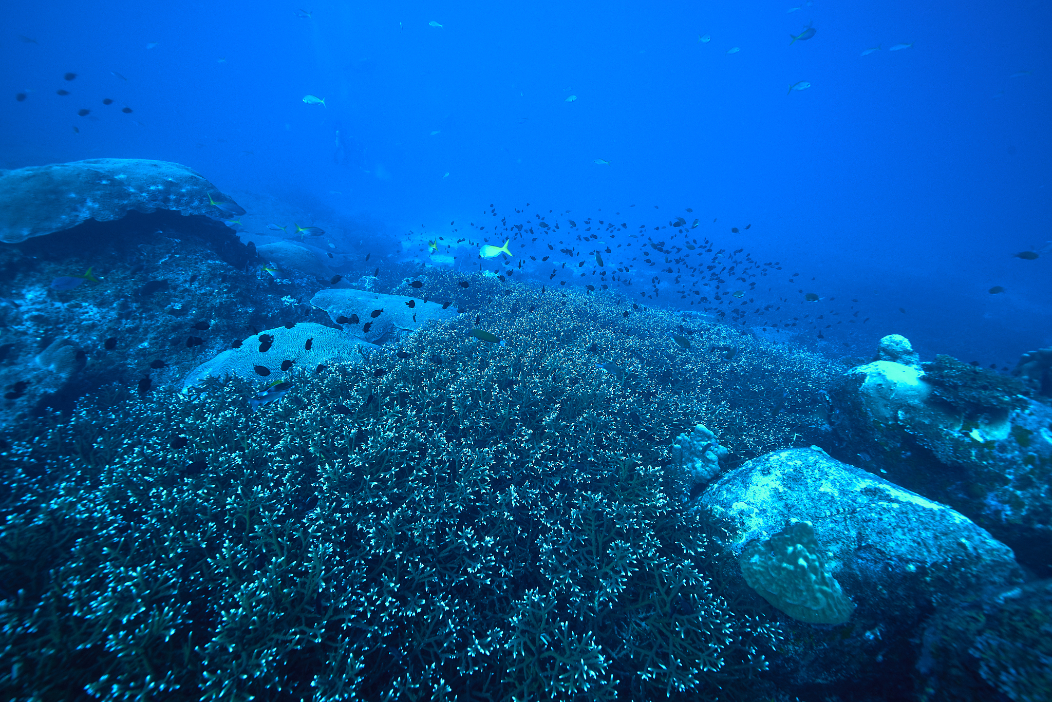 underwater