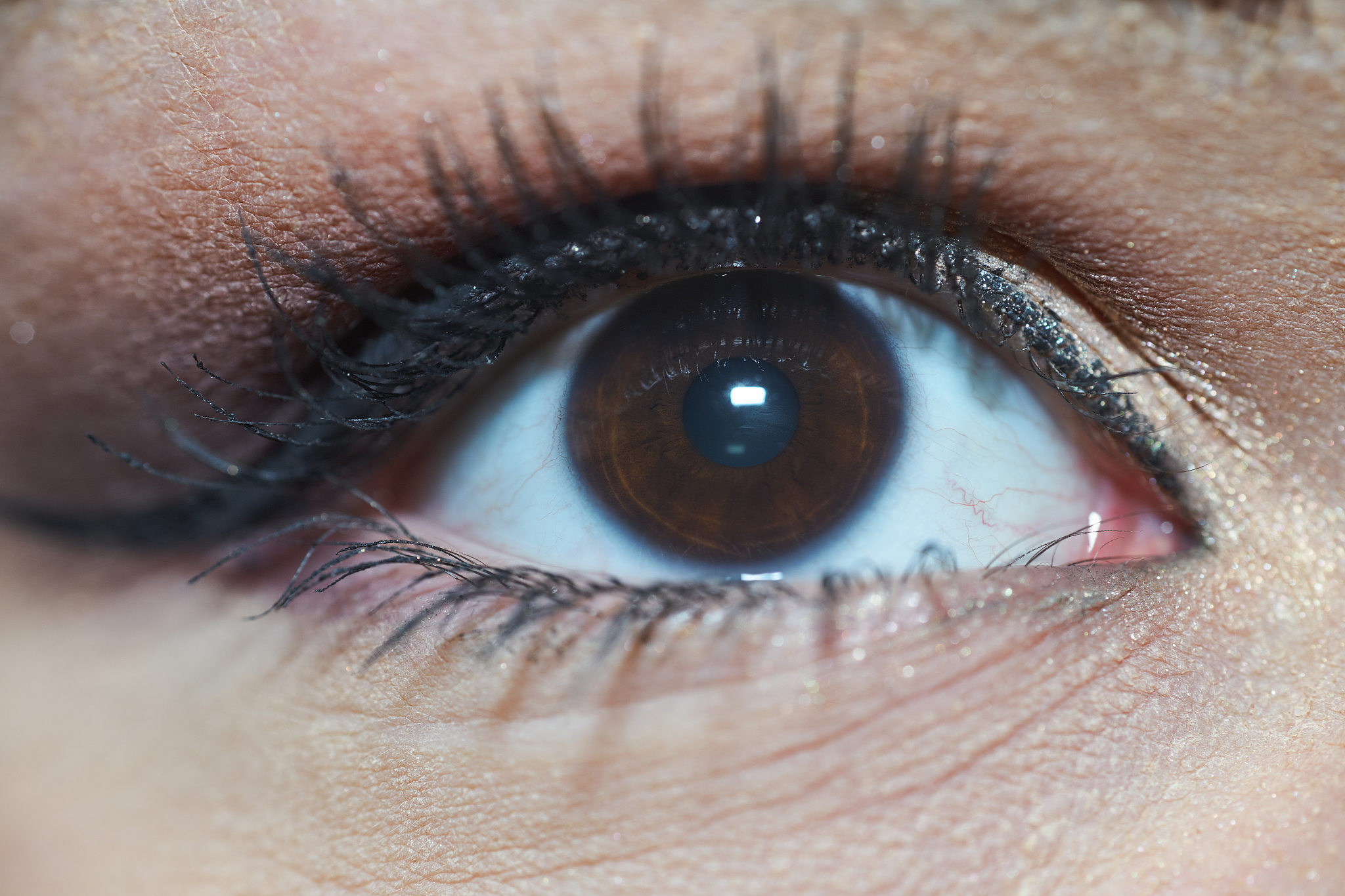 close-up of beautiful eye with brown iris looking up