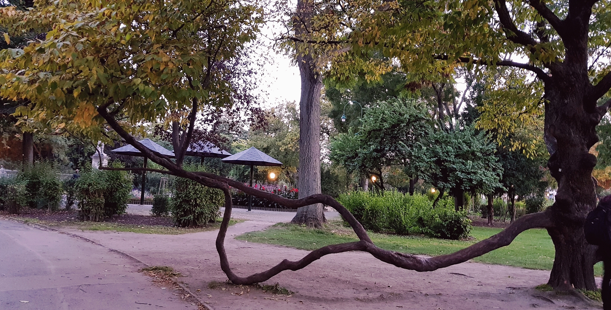 重庆园林技工学校2020招生简章