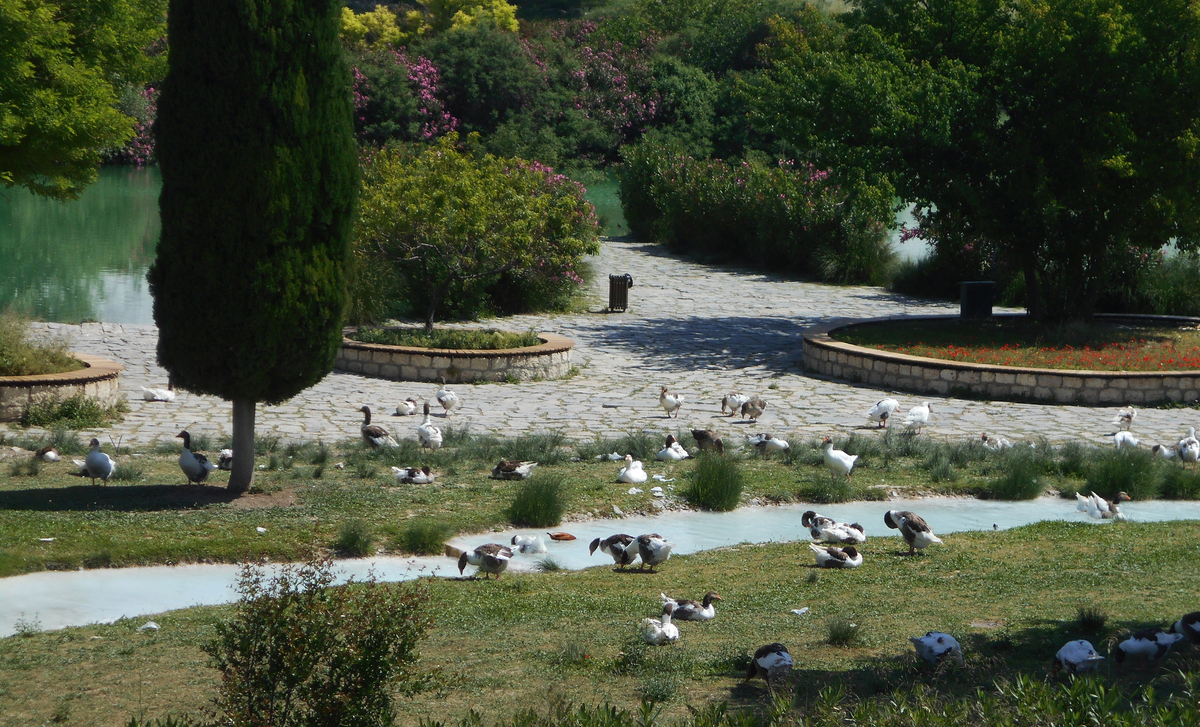 高密野餐好去处：人民公园、大汶河公园、海滨公园推荐