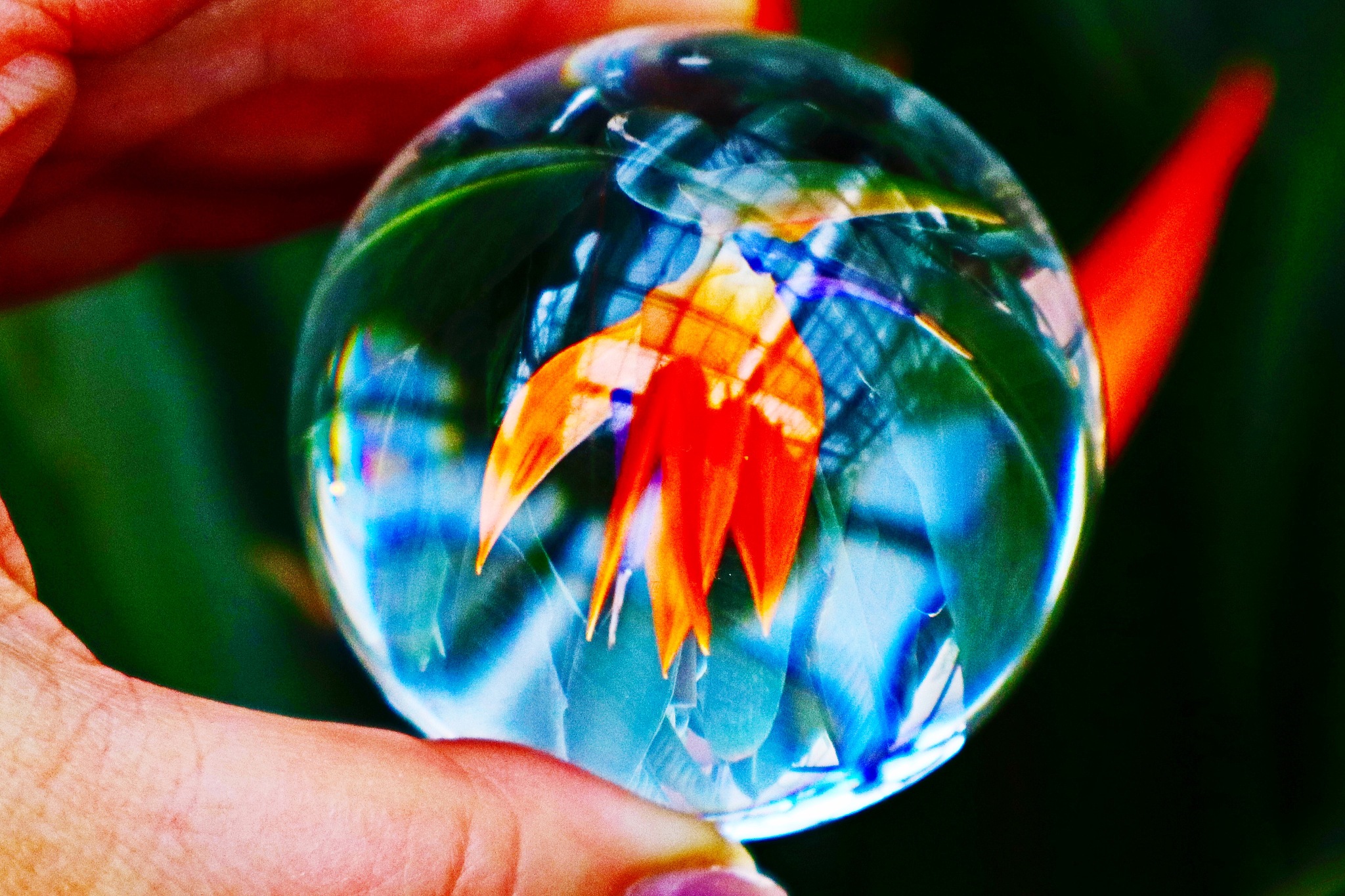 close-up of cropped hand holding crystal ball with flower reflec