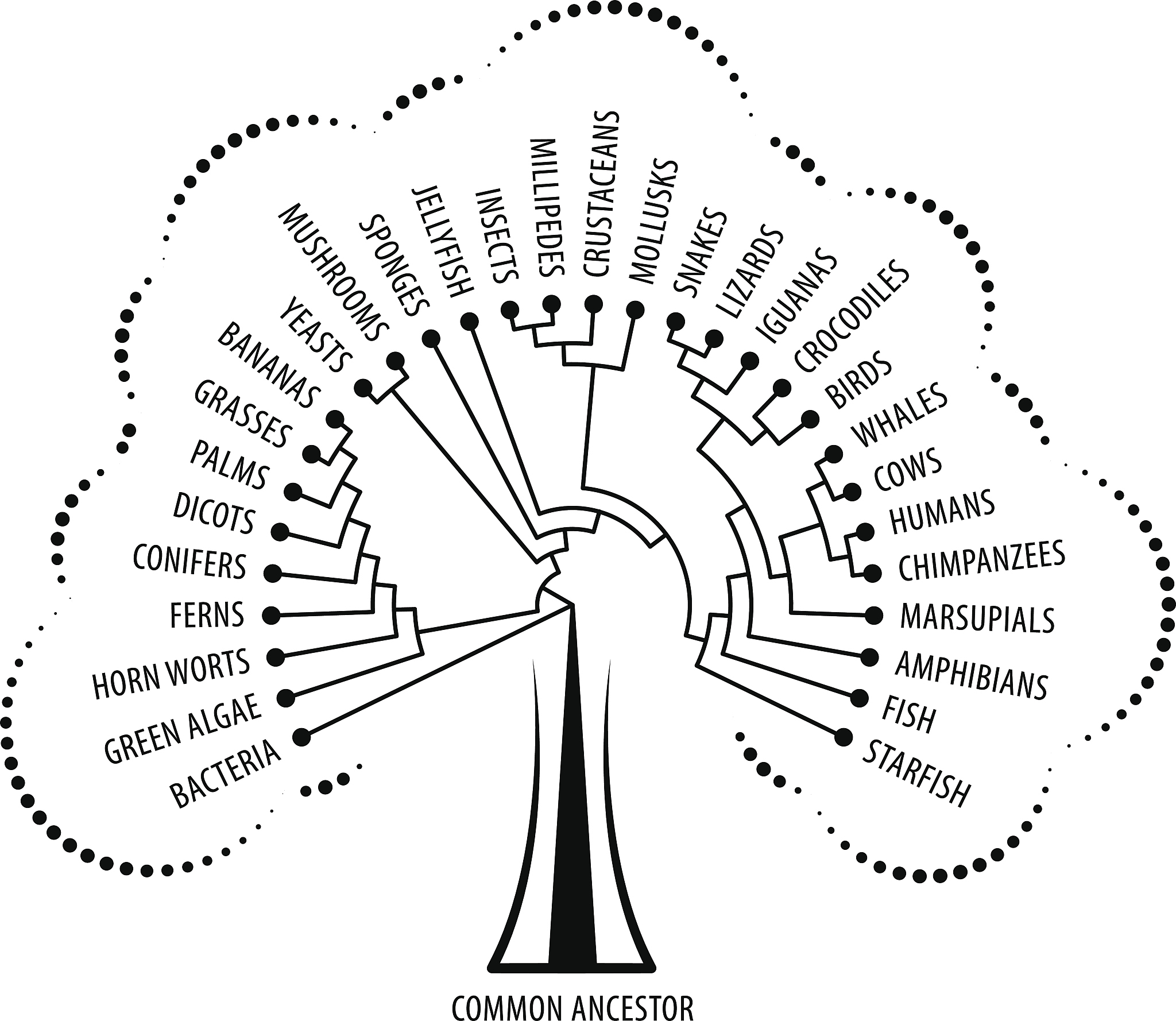 1《家谱》以修谱师修家谱的过程考察在修家谱的时候发生的事情过程在修家谱的过程中对家族历史有没有美化。请模仿上述文字写出动物主题的文字