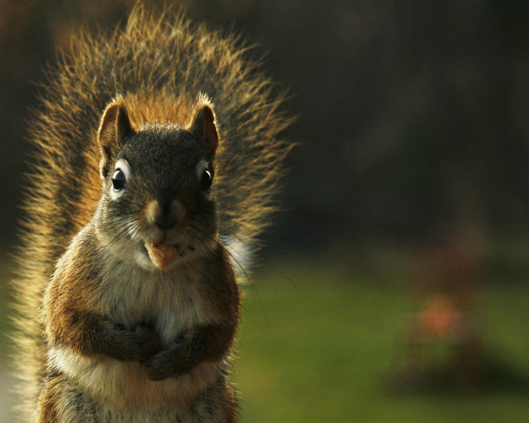 肇庆市三只松鼠仓库管理优化问题研究摘要