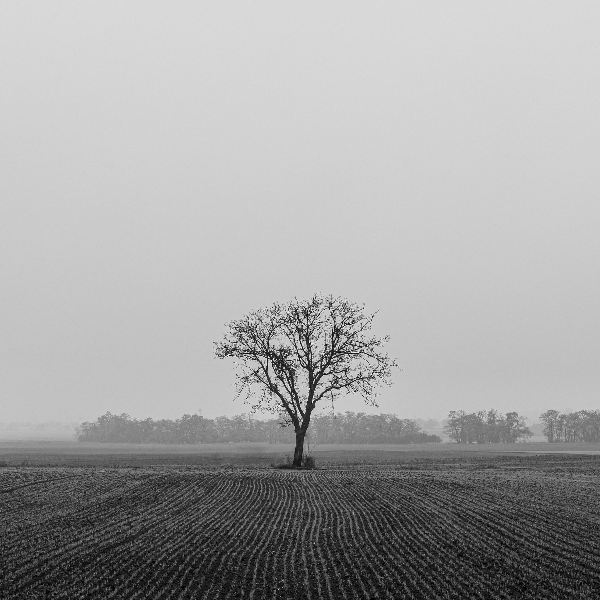 曲靖农业学校五年制大专热门招生专业 - 专业解析与学校特色