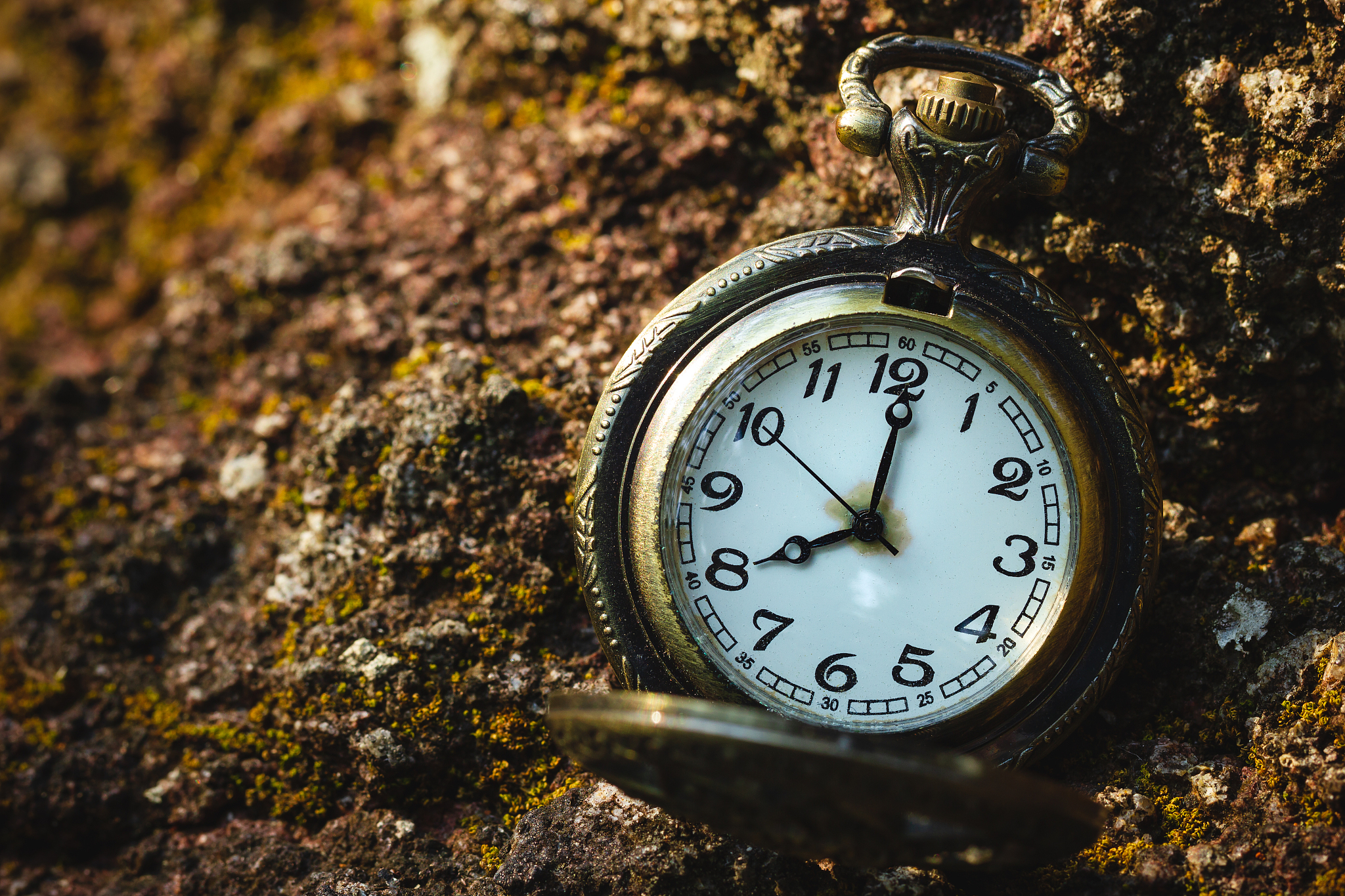 vintage old pocket watch placed on the rock in forest and mornin