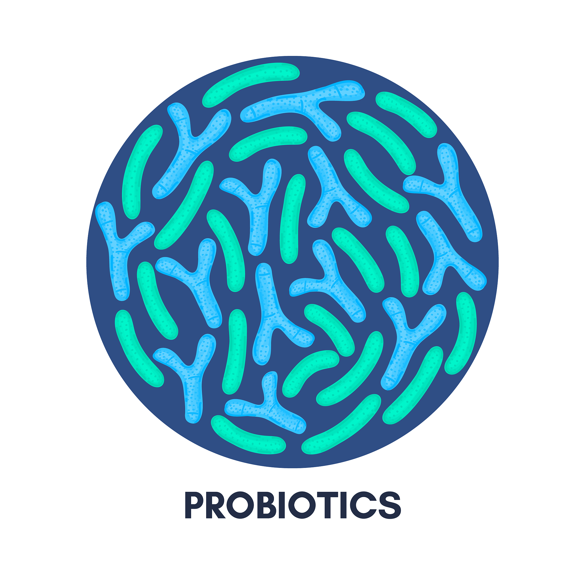 婴儿双歧杆菌的作用功效：调节肠道菌群、增强免疫力