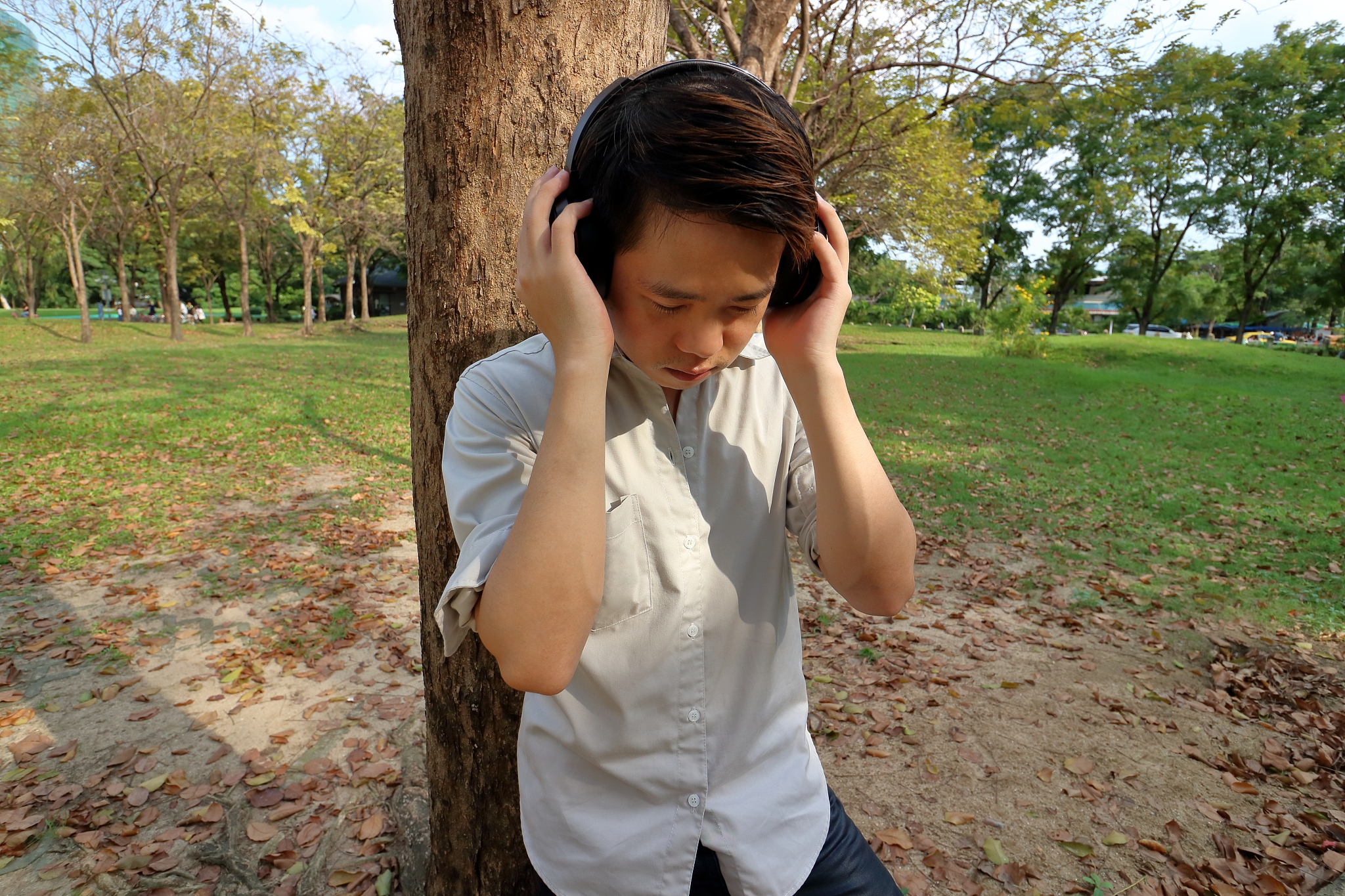 我会等MP3下载 - 免费下载高品质音乐