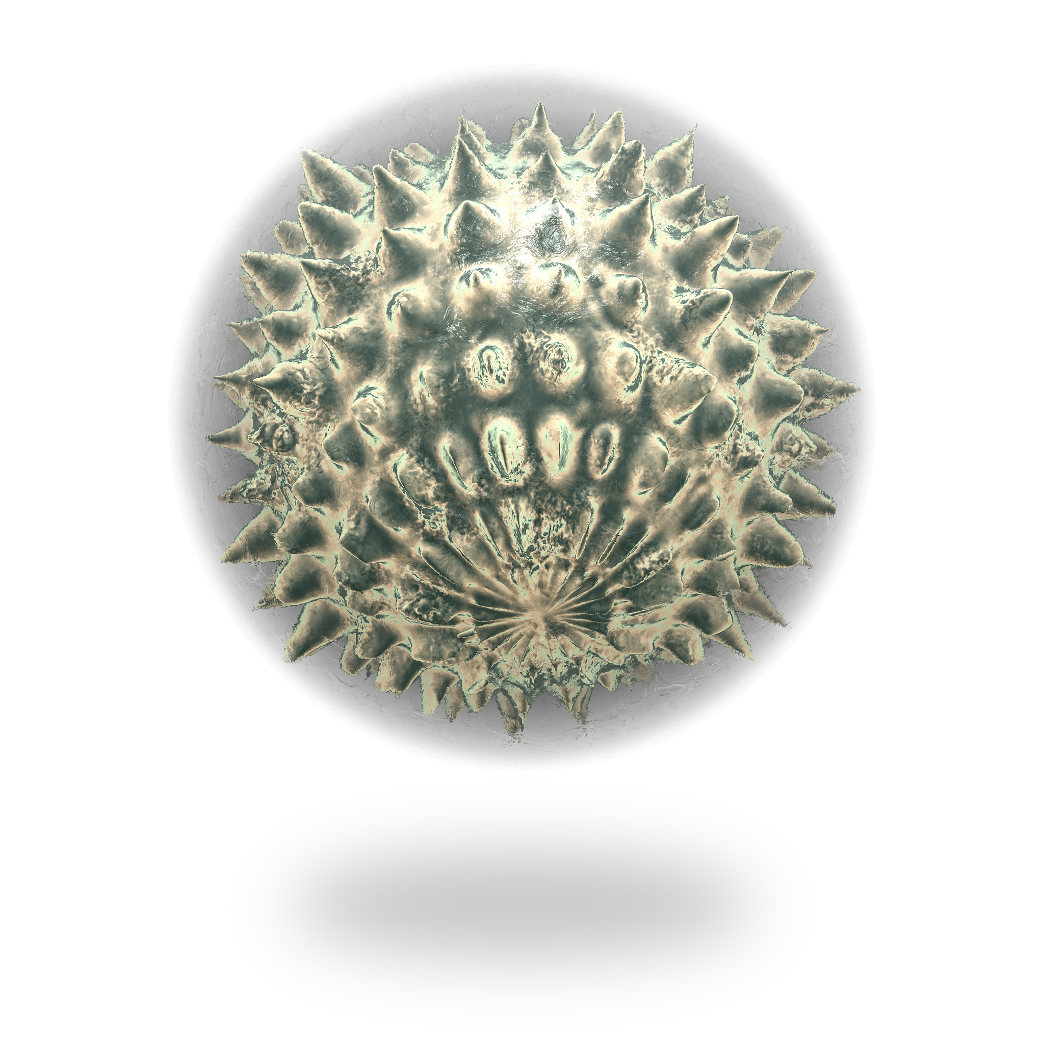 ATP6基因变异：线粒体疾病的常见原因