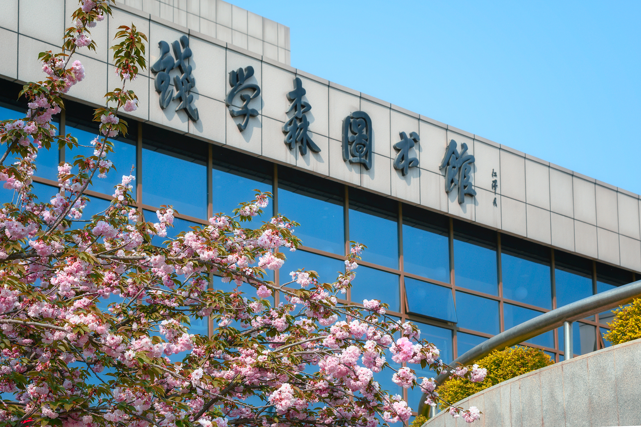 西安铁路学校哪家强？深度解析，助你选择！