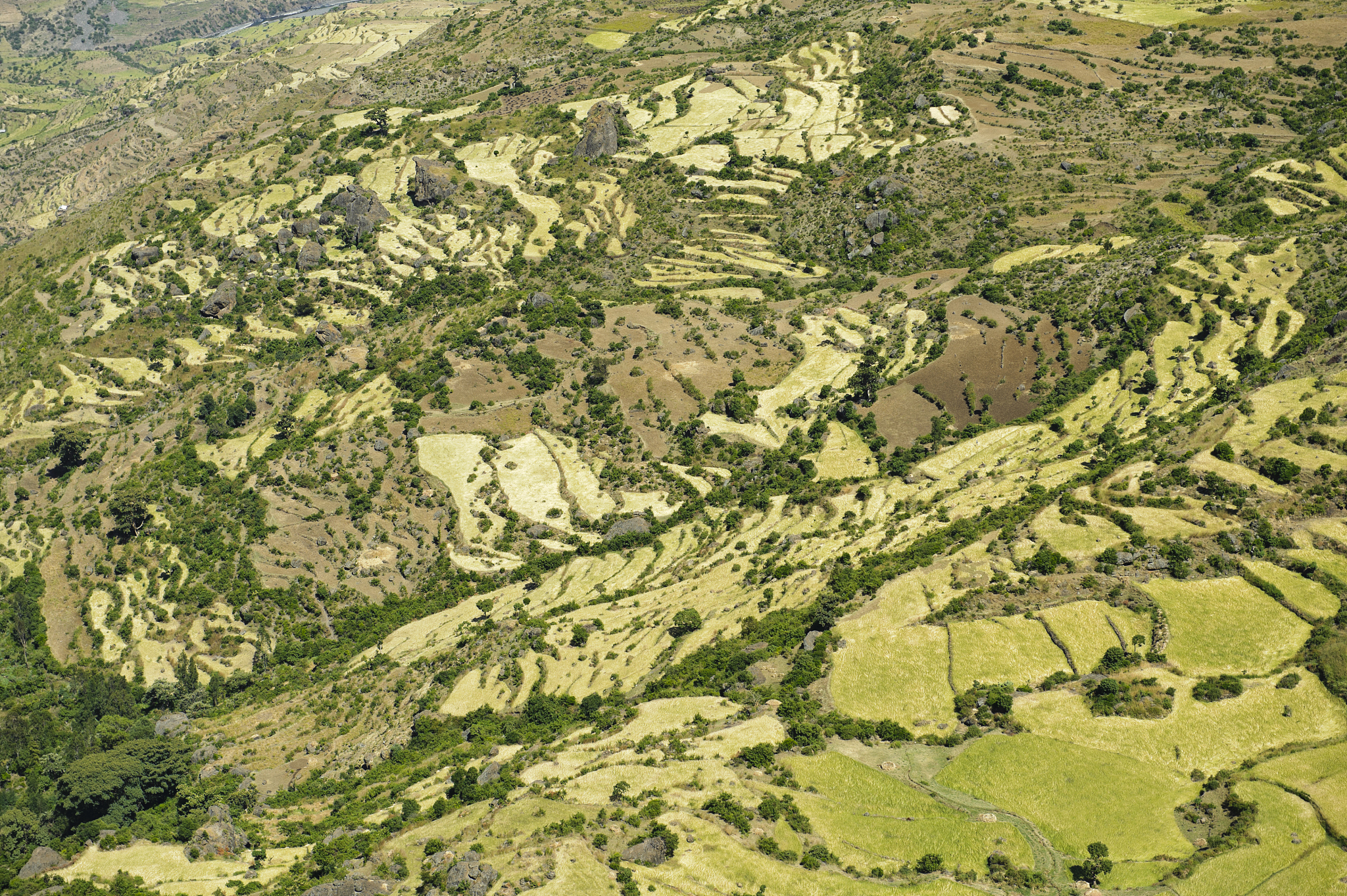 panorama photo of an african landscape