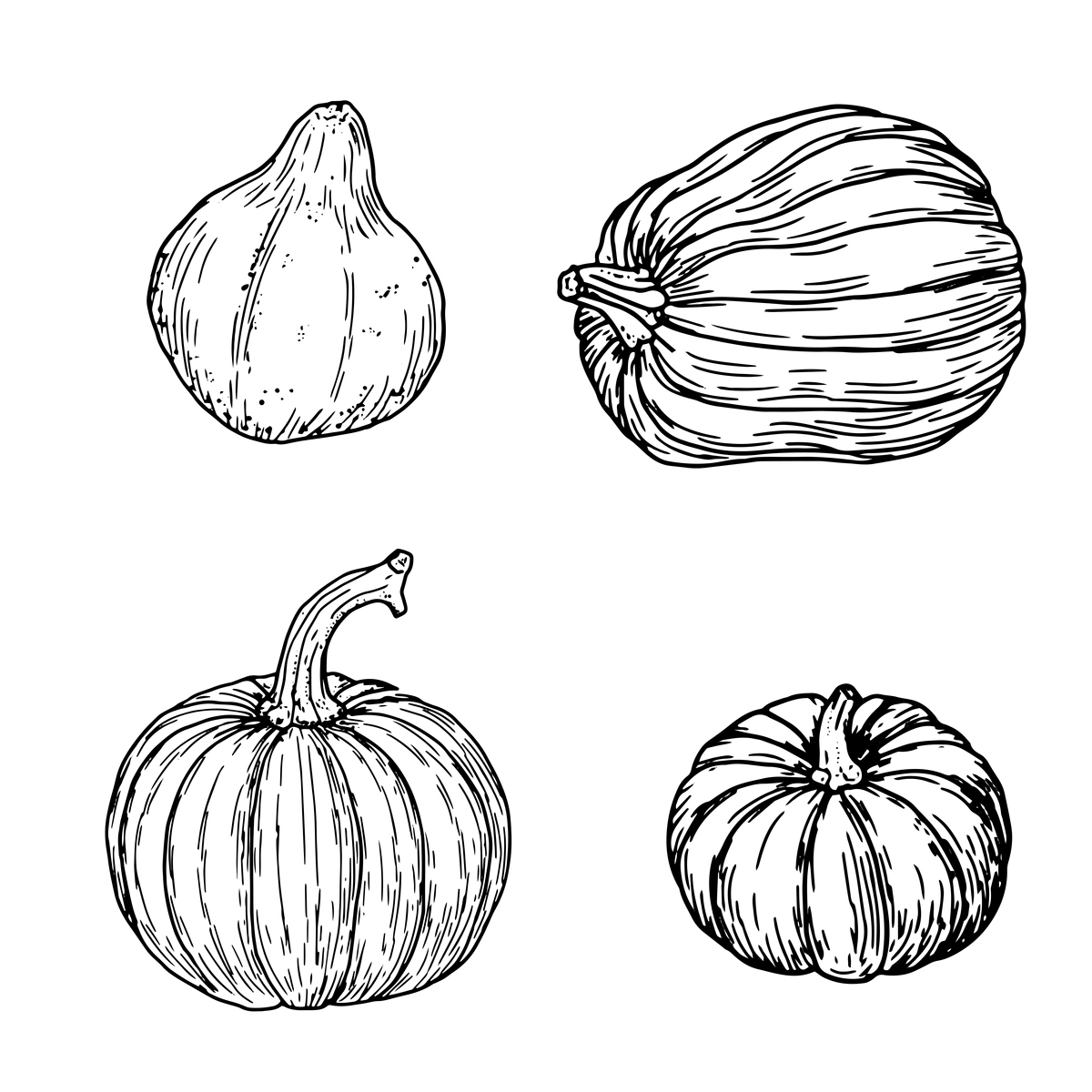 湖南省特教中等专业学校工艺美术专业课程设置有哪些