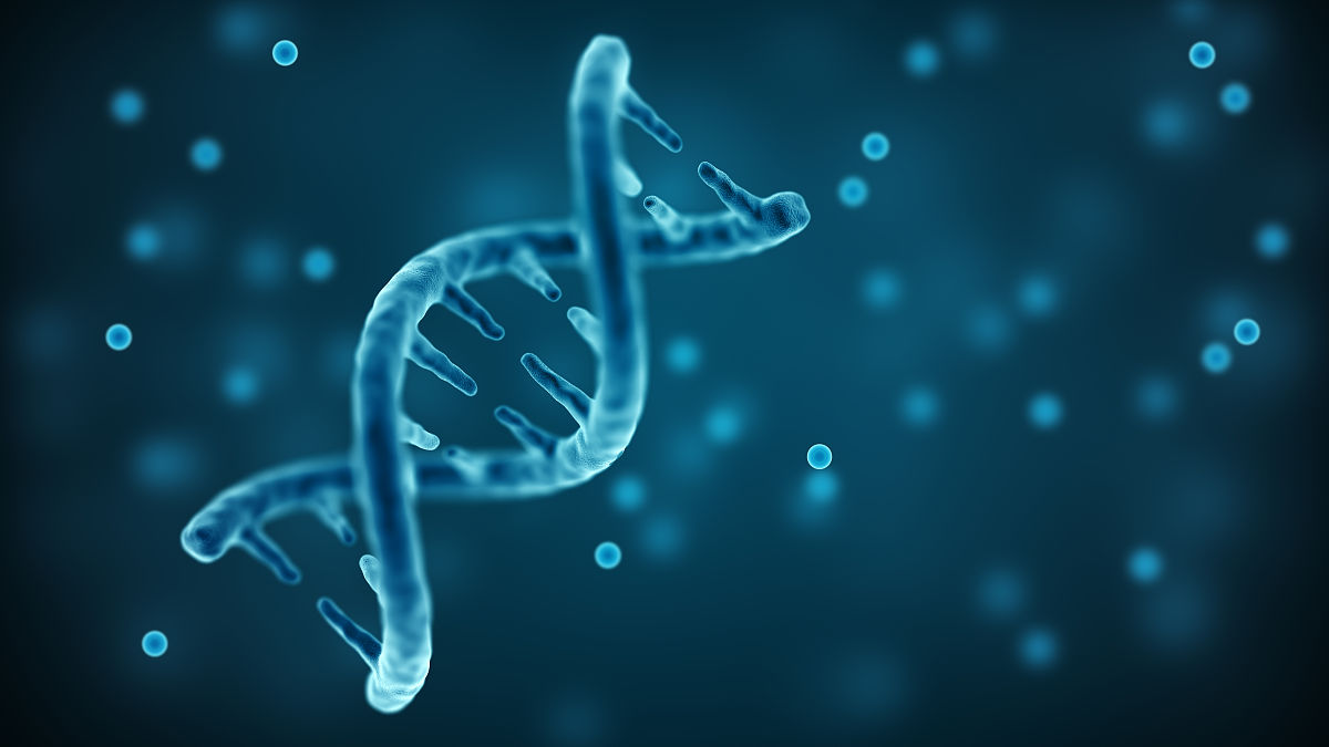 南京卫生高等职业技术学校2023年招生网站查询 - 报考指南