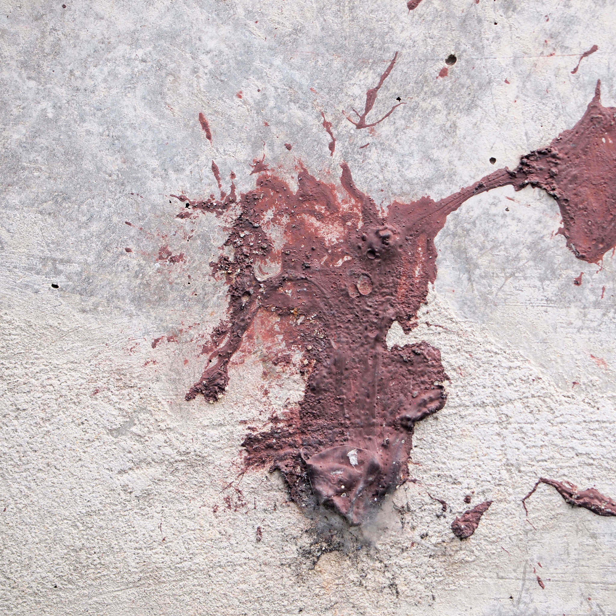 神秘血迹土壤：纵横血管下的诡异心脏