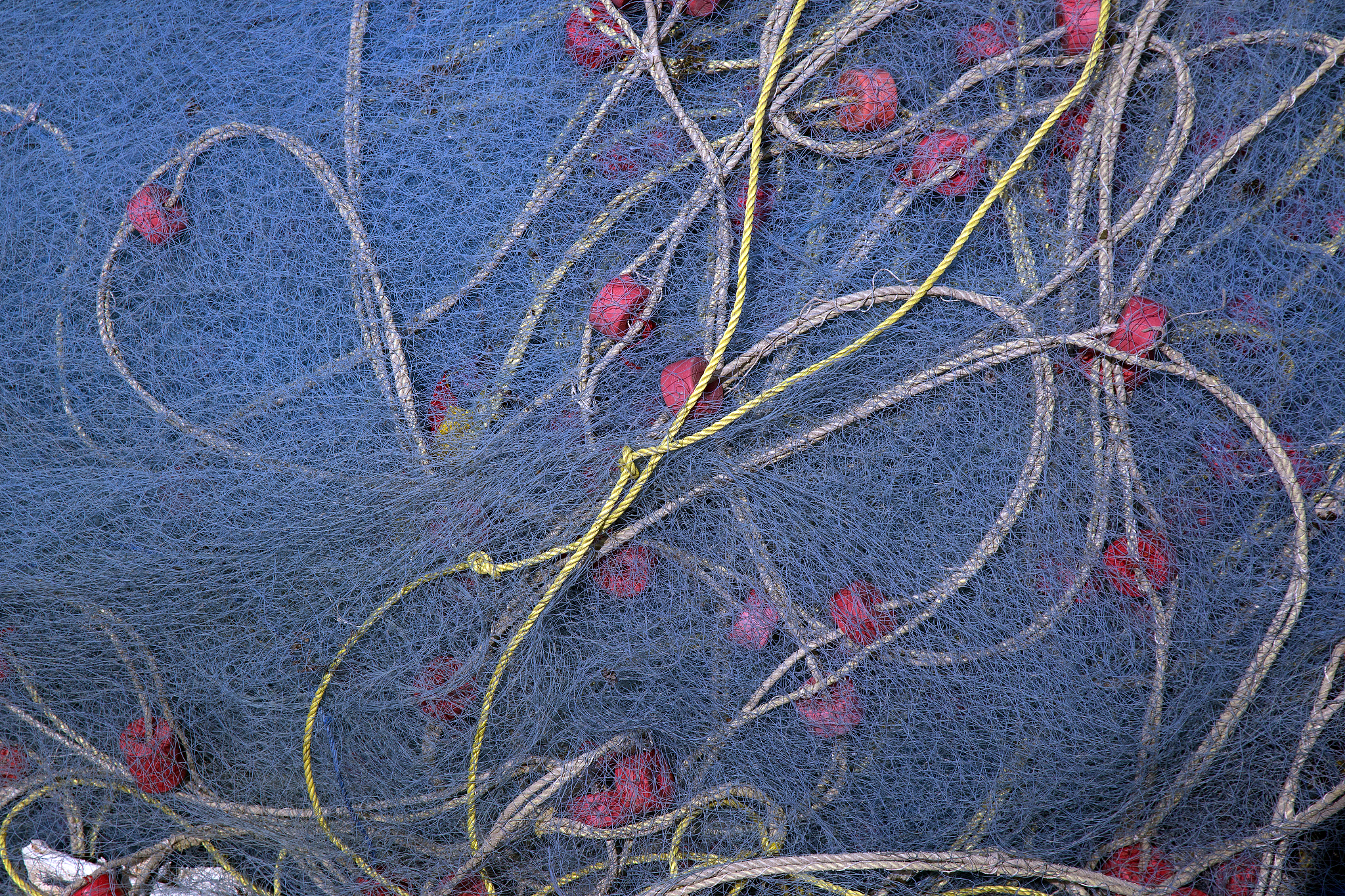 fishing-net over green water background