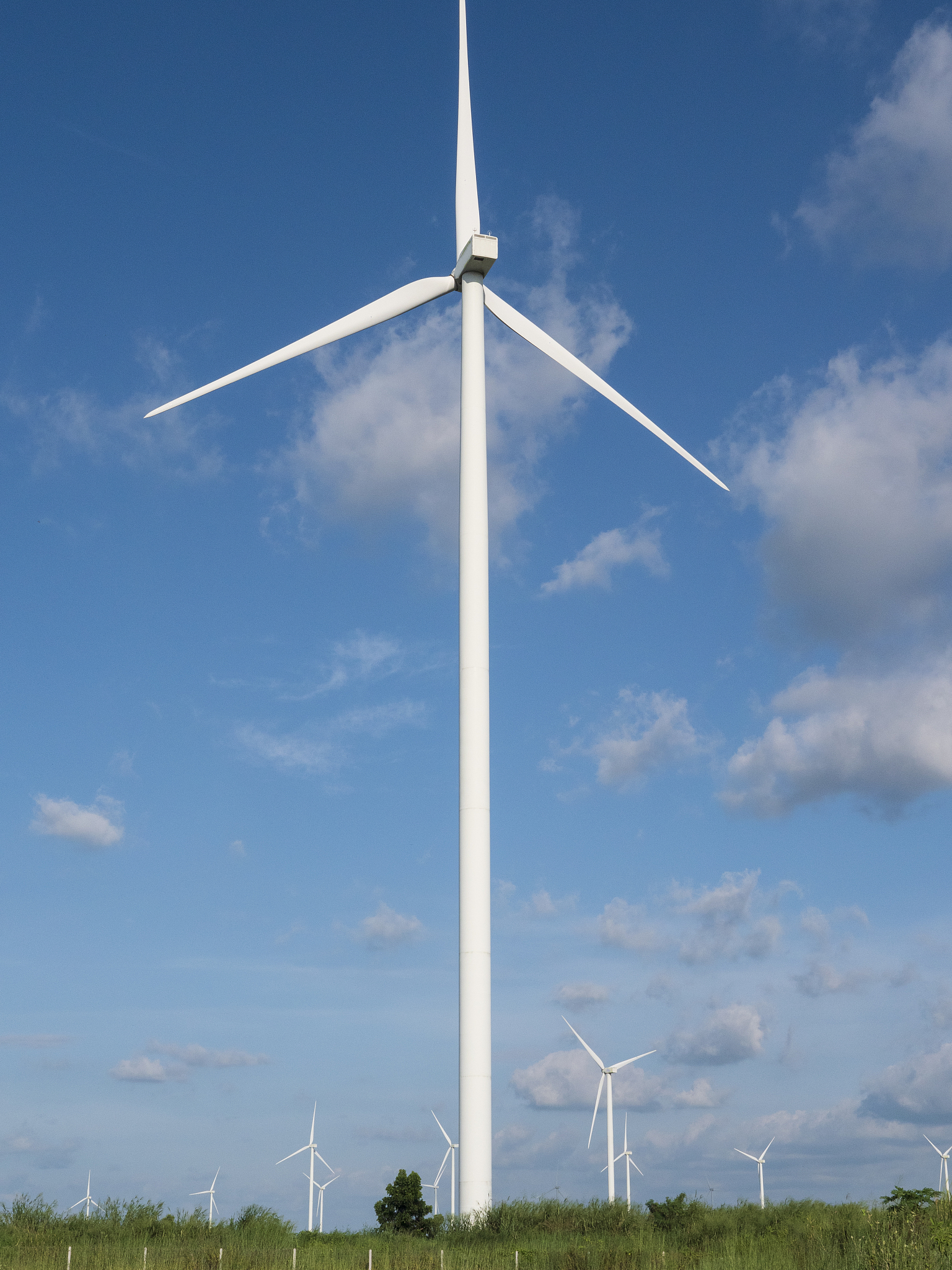 江西农业工程职业学院饲料与动物营养专业怎么样 江西农业工程职业学院饲料与动物营养专业怎么样