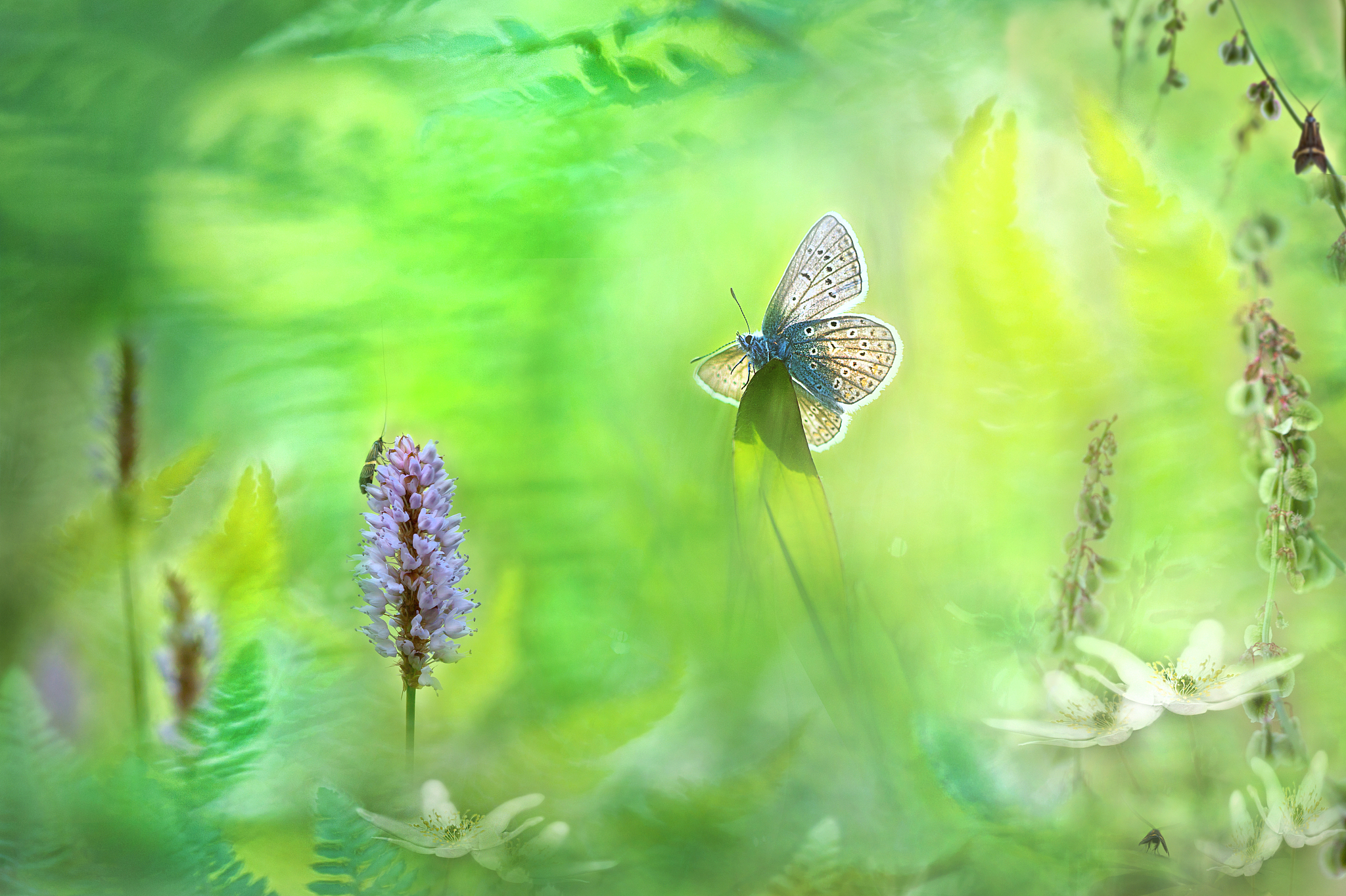 在想一个有趣一点的