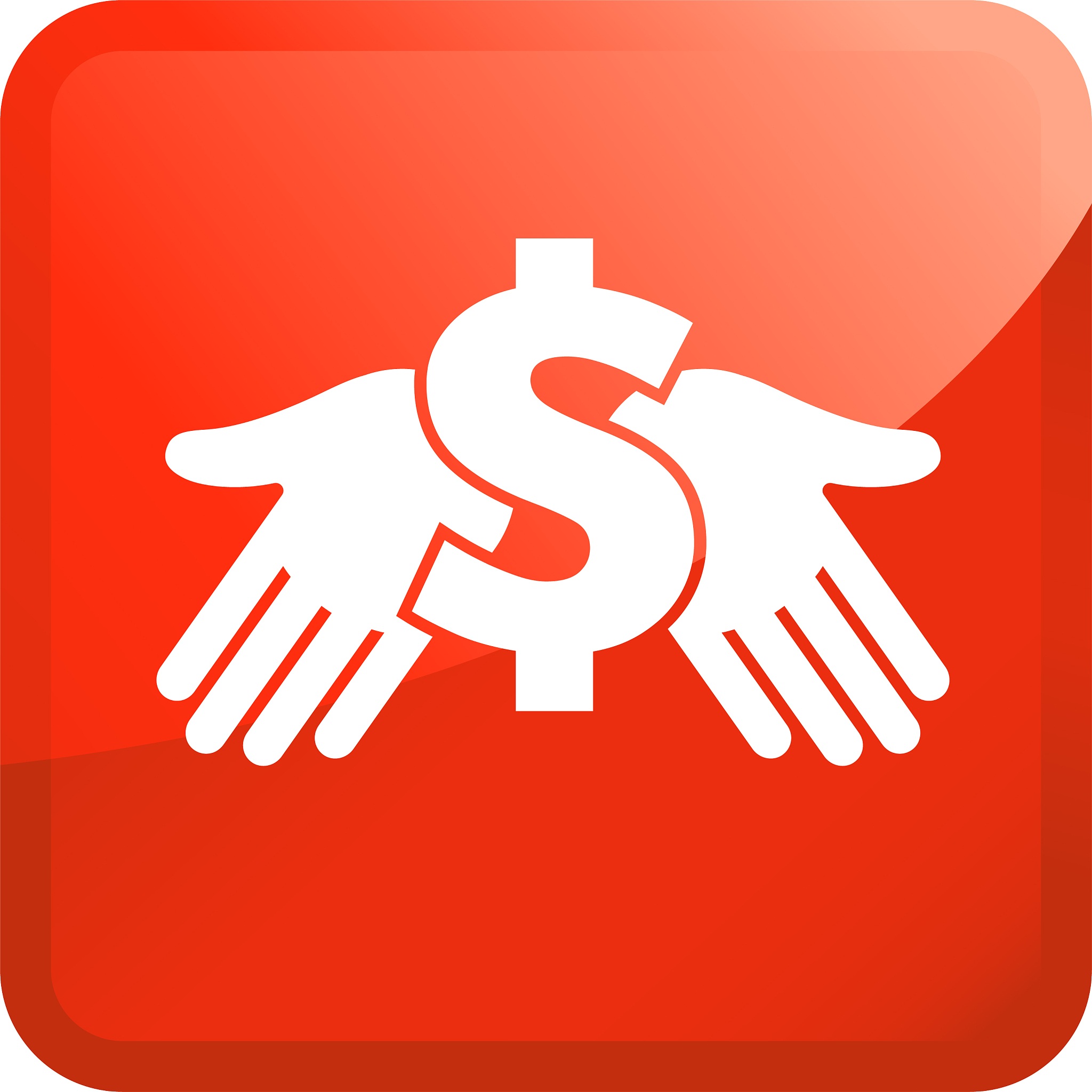 money dollar sign in hand icon
