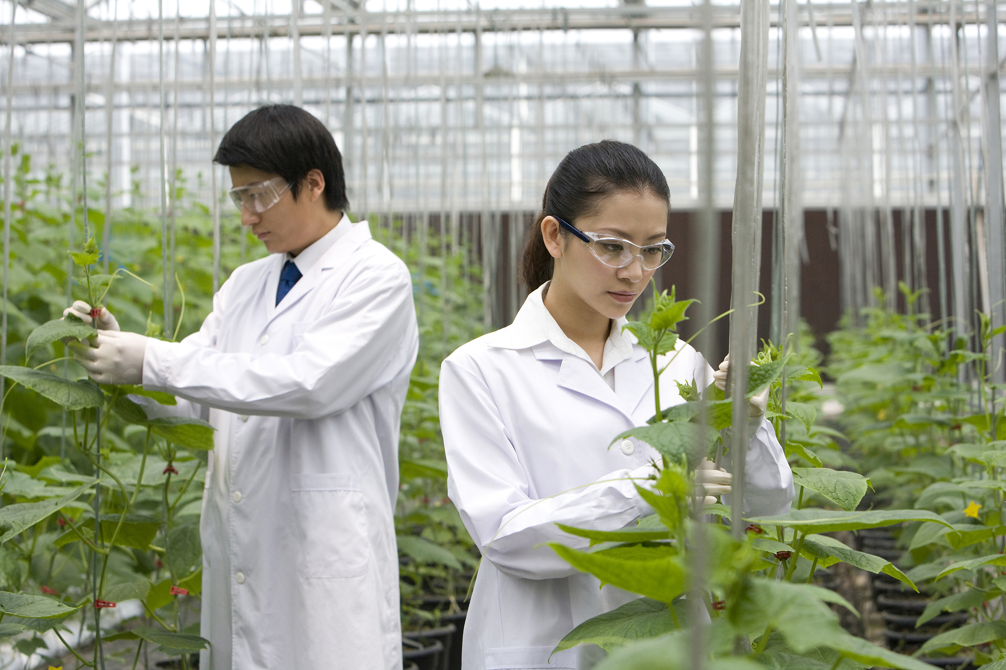 山东农业大学研究院好不好？有哪些优点？简介是什么？