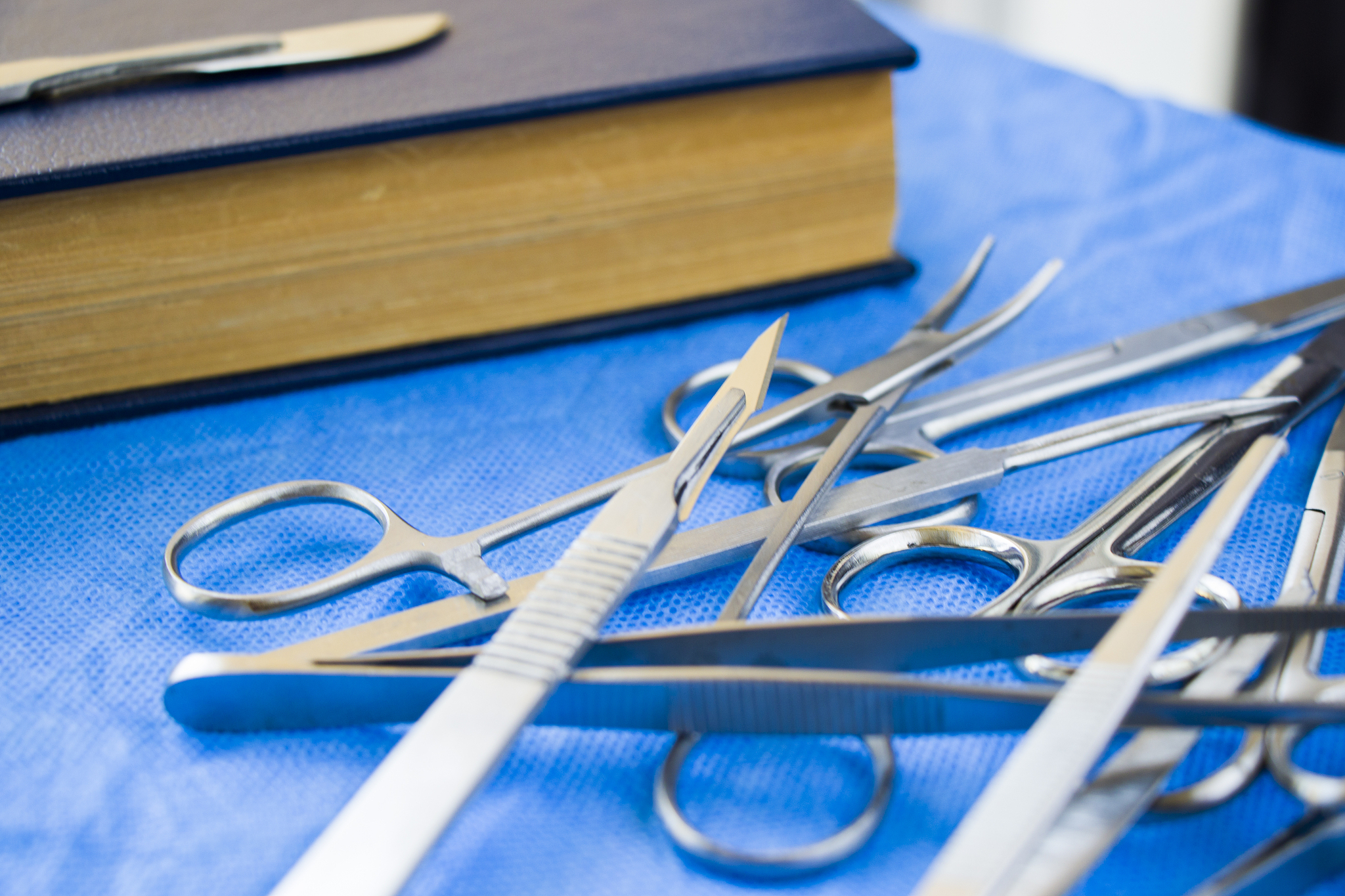 山东济南海洋畜牧兽医专修学院2019年招生专业有哪些？